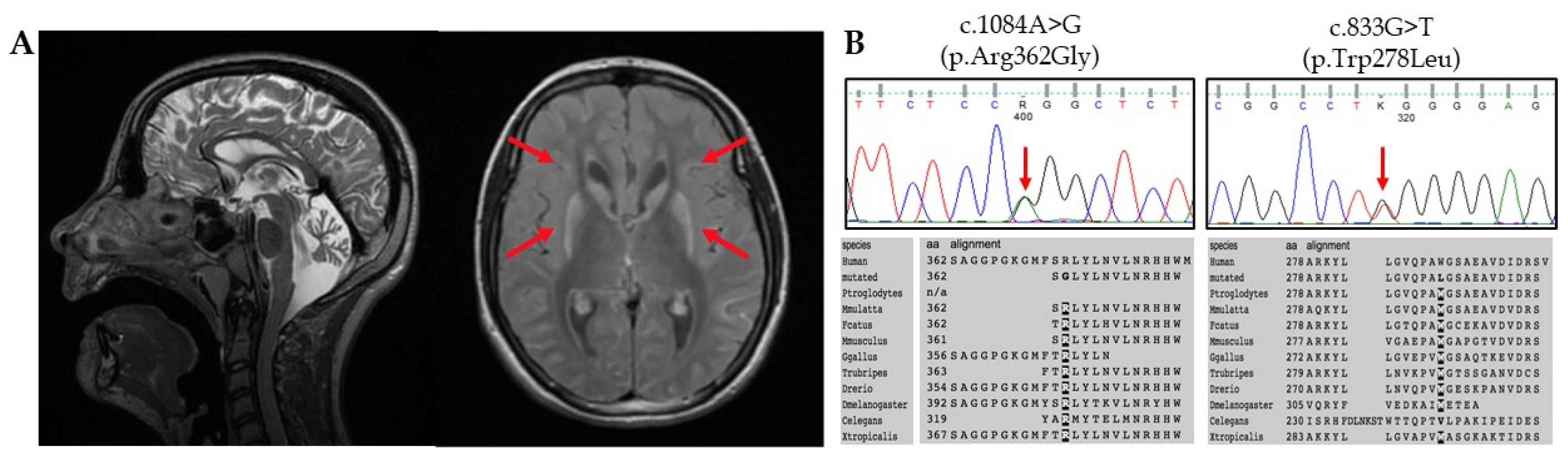 Applsci 11 00748 g001