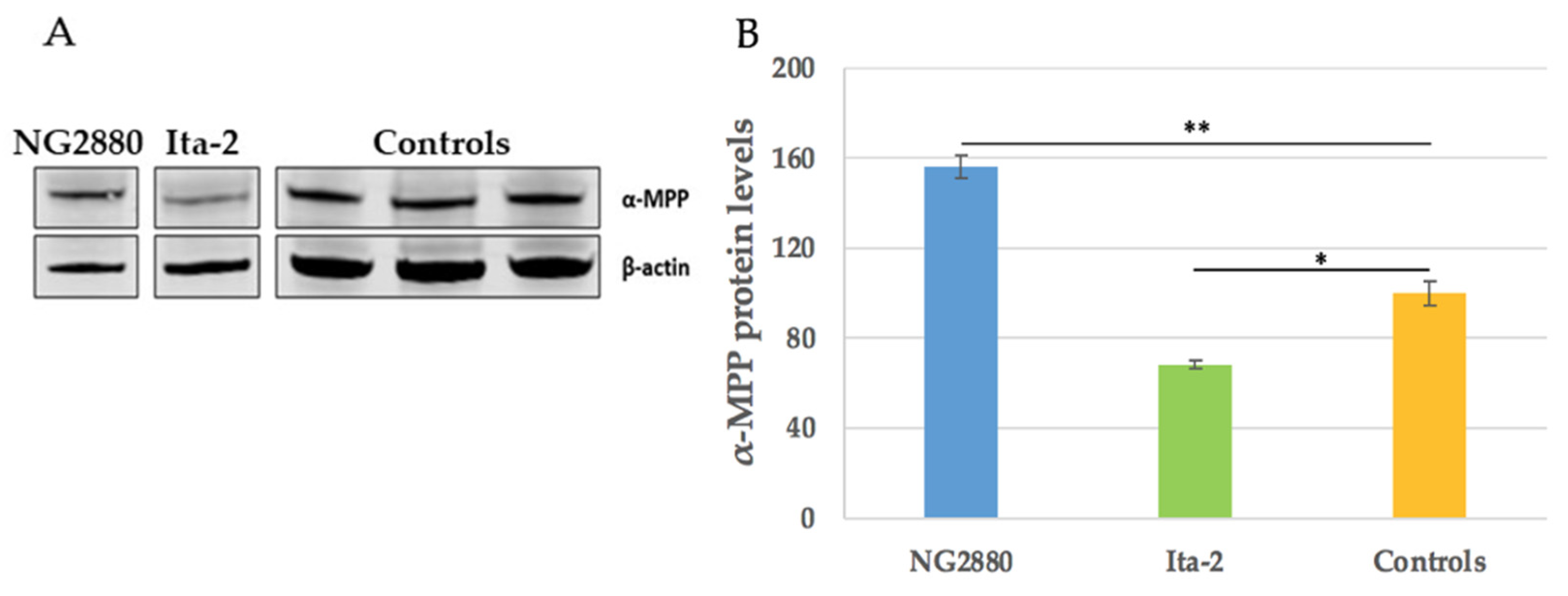 Applsci 11 00748 g002