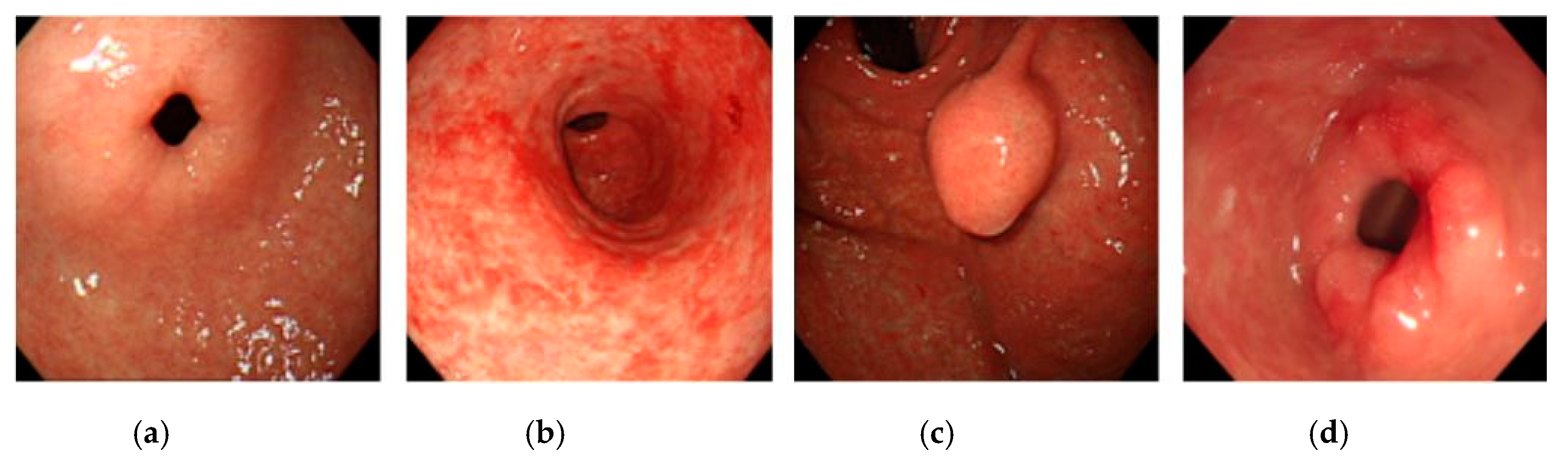 Applsci 11 00760 g002 Applsci 11 00760 g002