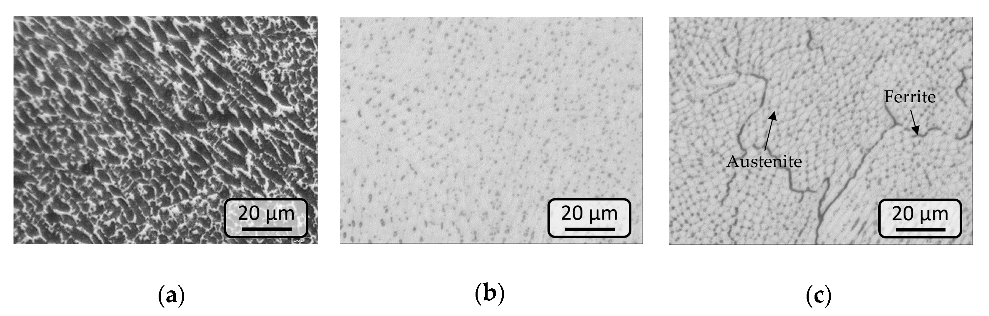 Applsci 11 00771 g008