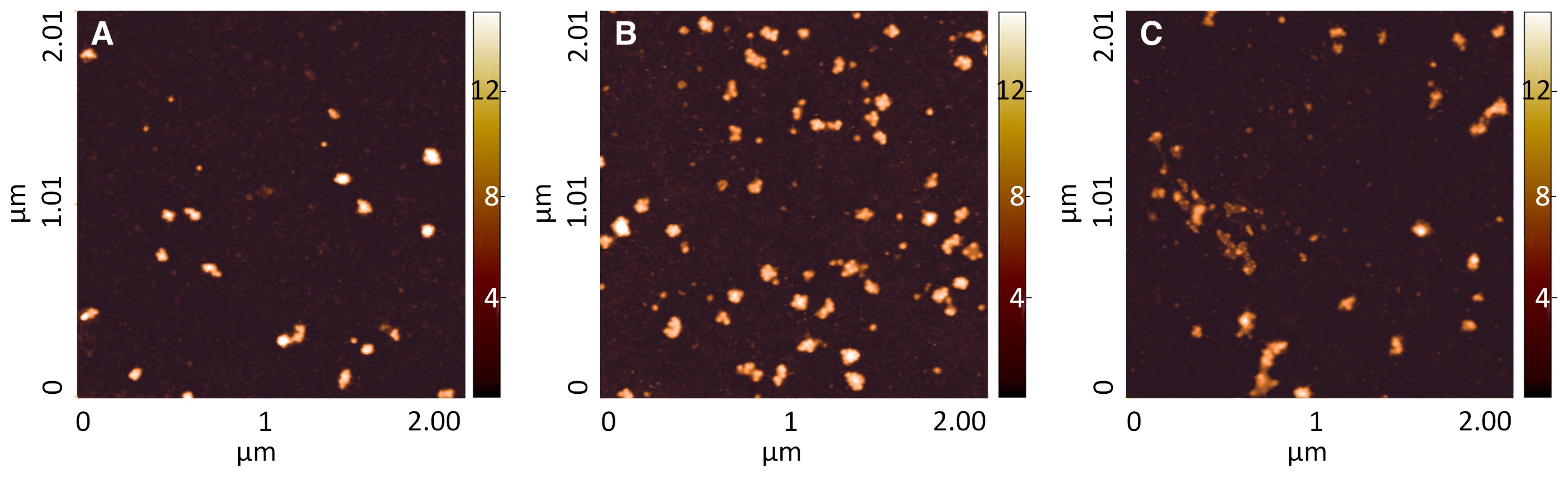 Applsci 11 00776 g002