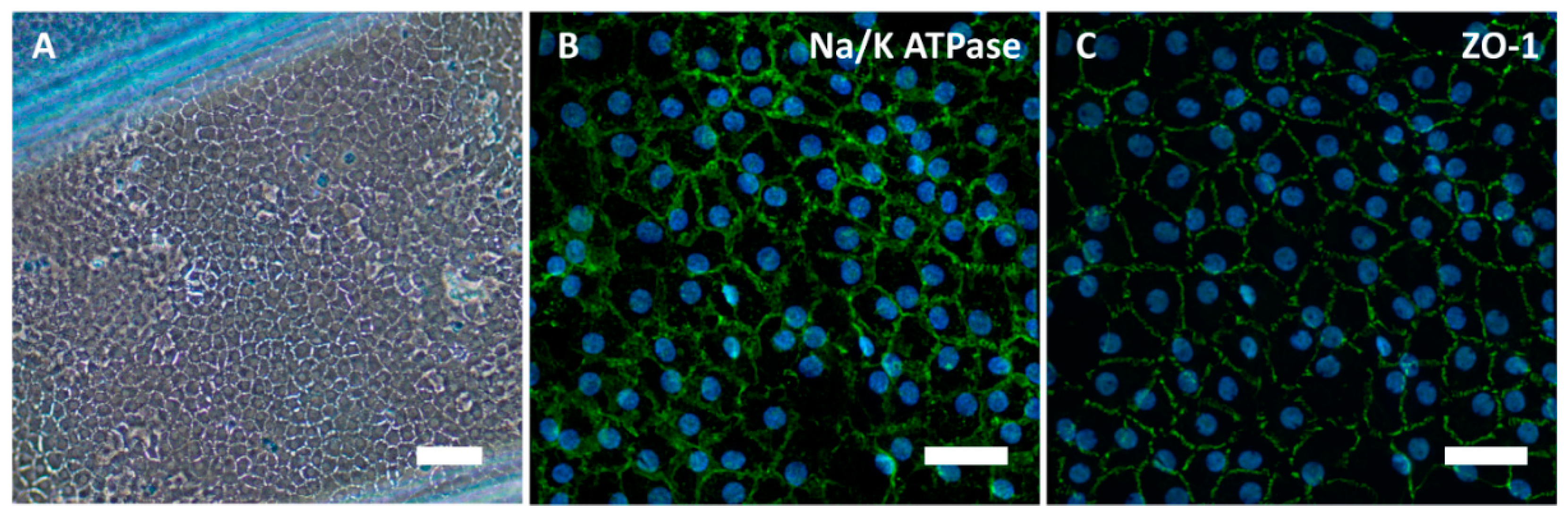 Applsci 11 00827 g002 Applsci 11 00827 g002