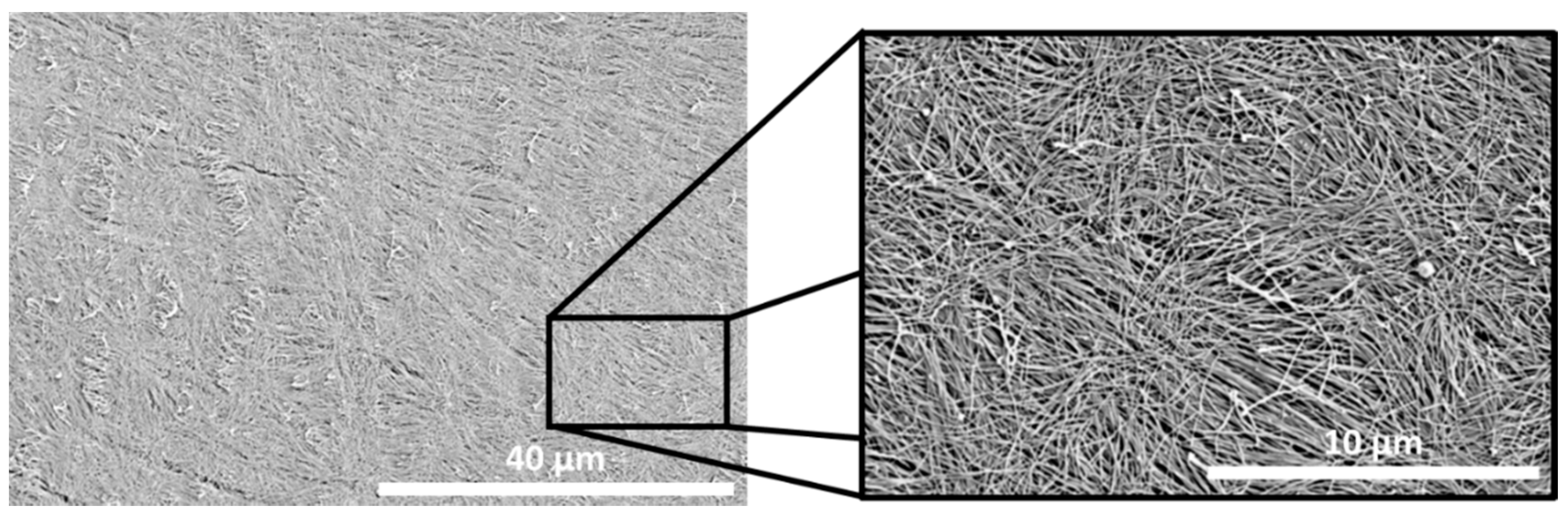 Applsci 11 00827 g004 Applsci 11 00827 g004