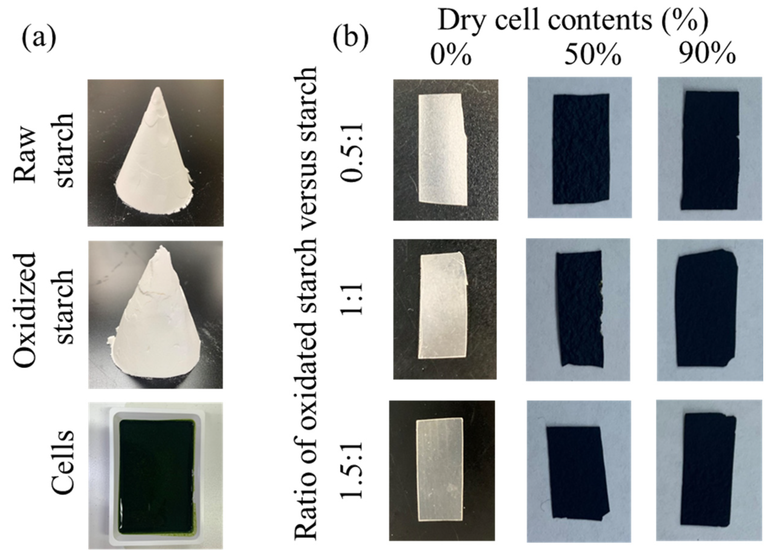 Applsci 11 00847 g001