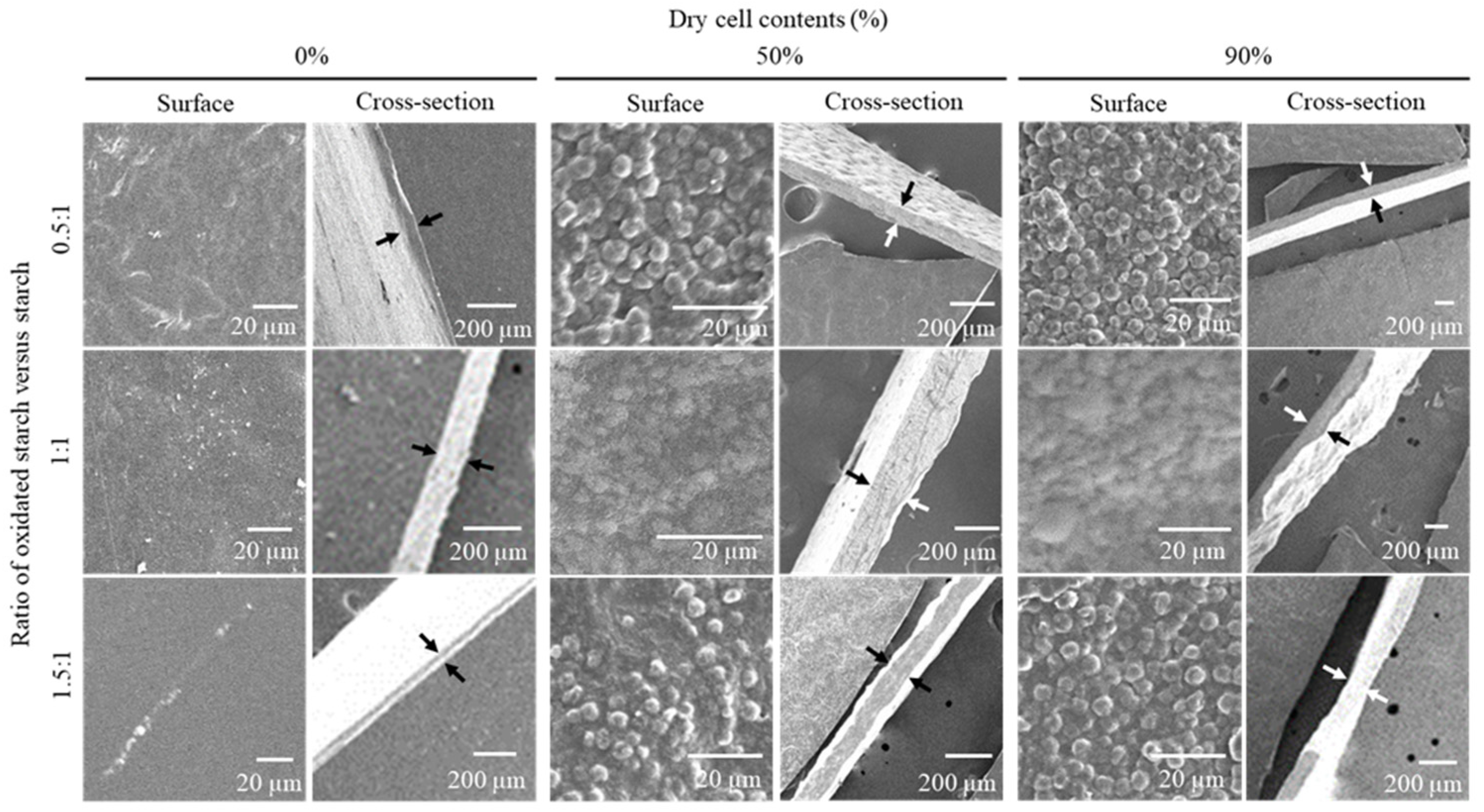 Applsci 11 00847 g002