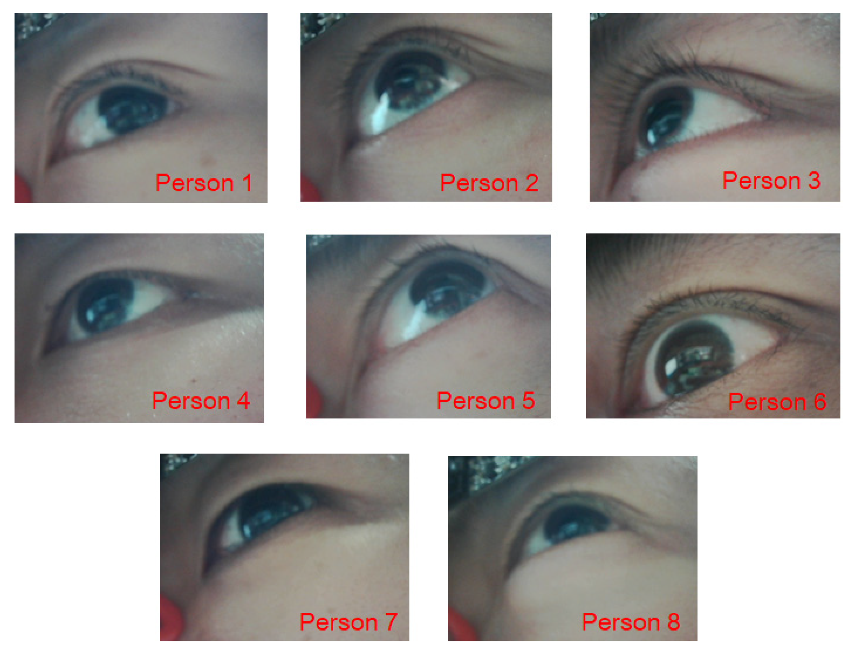 Applsci 11 00851 g005 Applsci 11 00851 g005