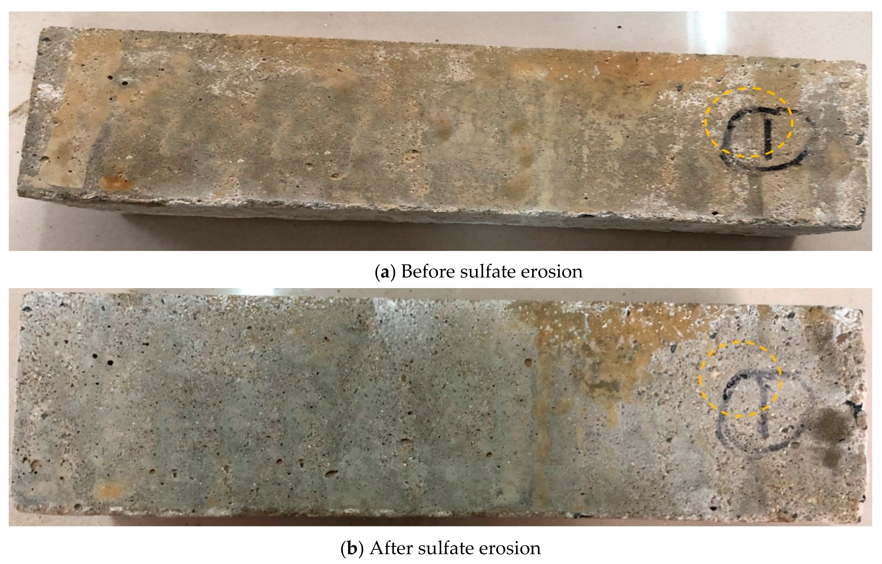 Applsci 11 00888 g005 Applsci 11 00888 g005