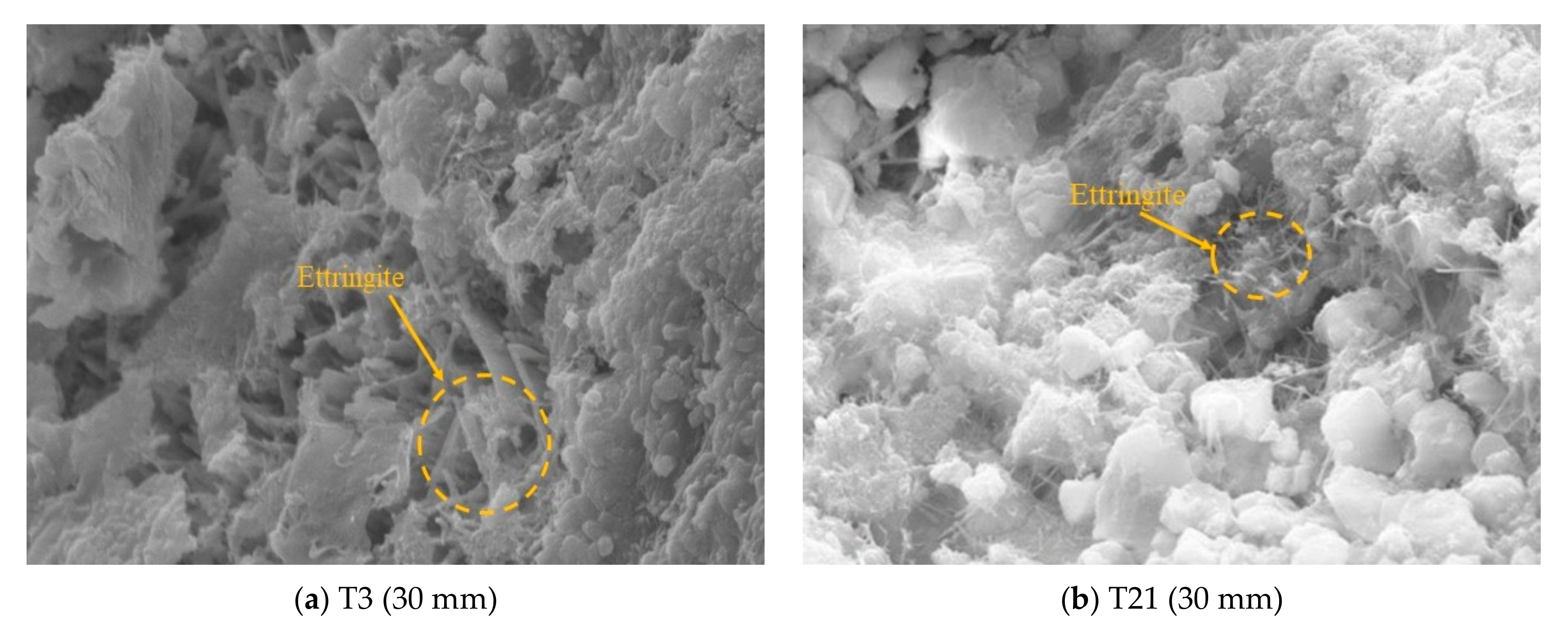 Applsci 11 00888 g012 Applsci 11 00888 g012