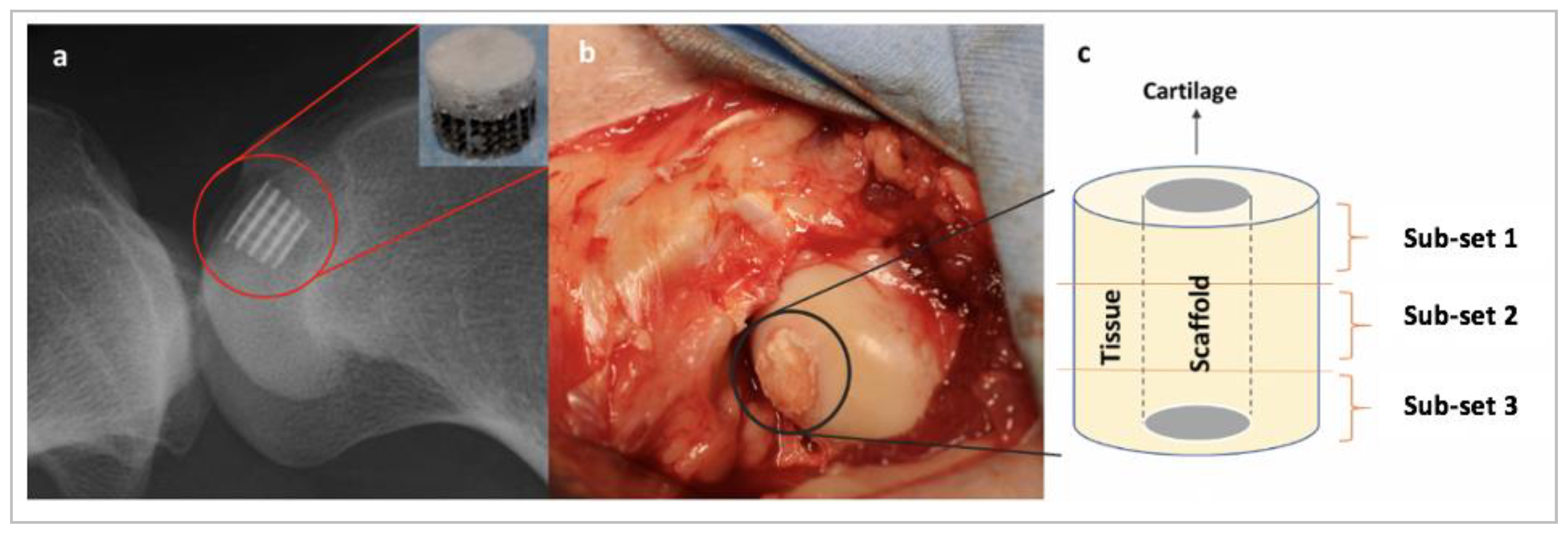 Applsci 11 00891 g002