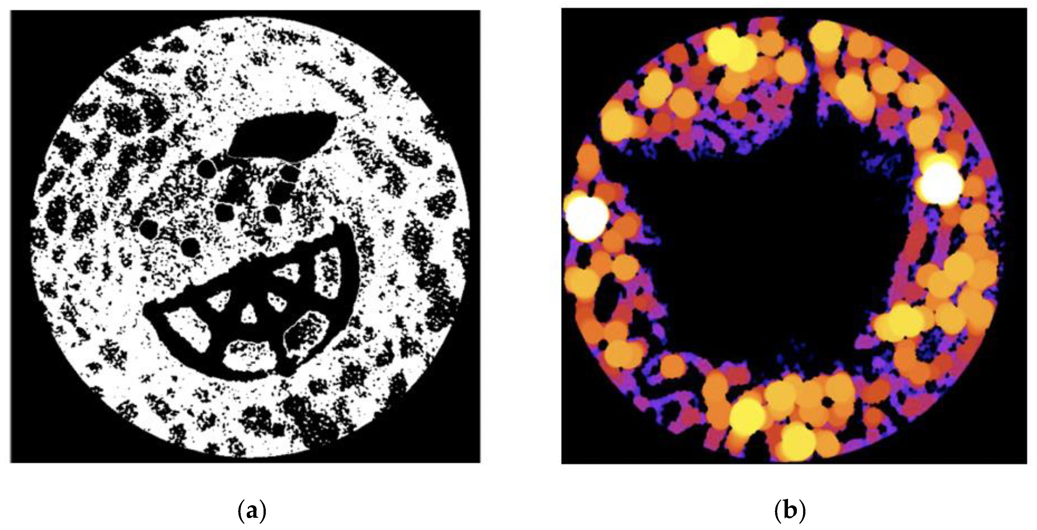 Applsci 11 00891 g003