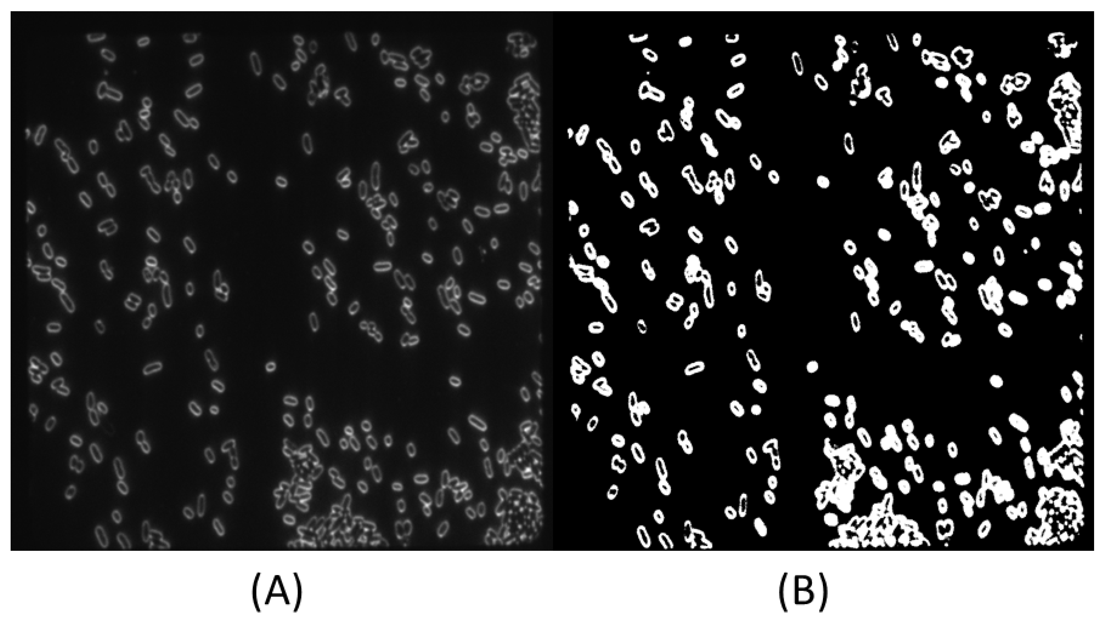 Applsci 11 00895 g003 Applsci 11 00895 g003