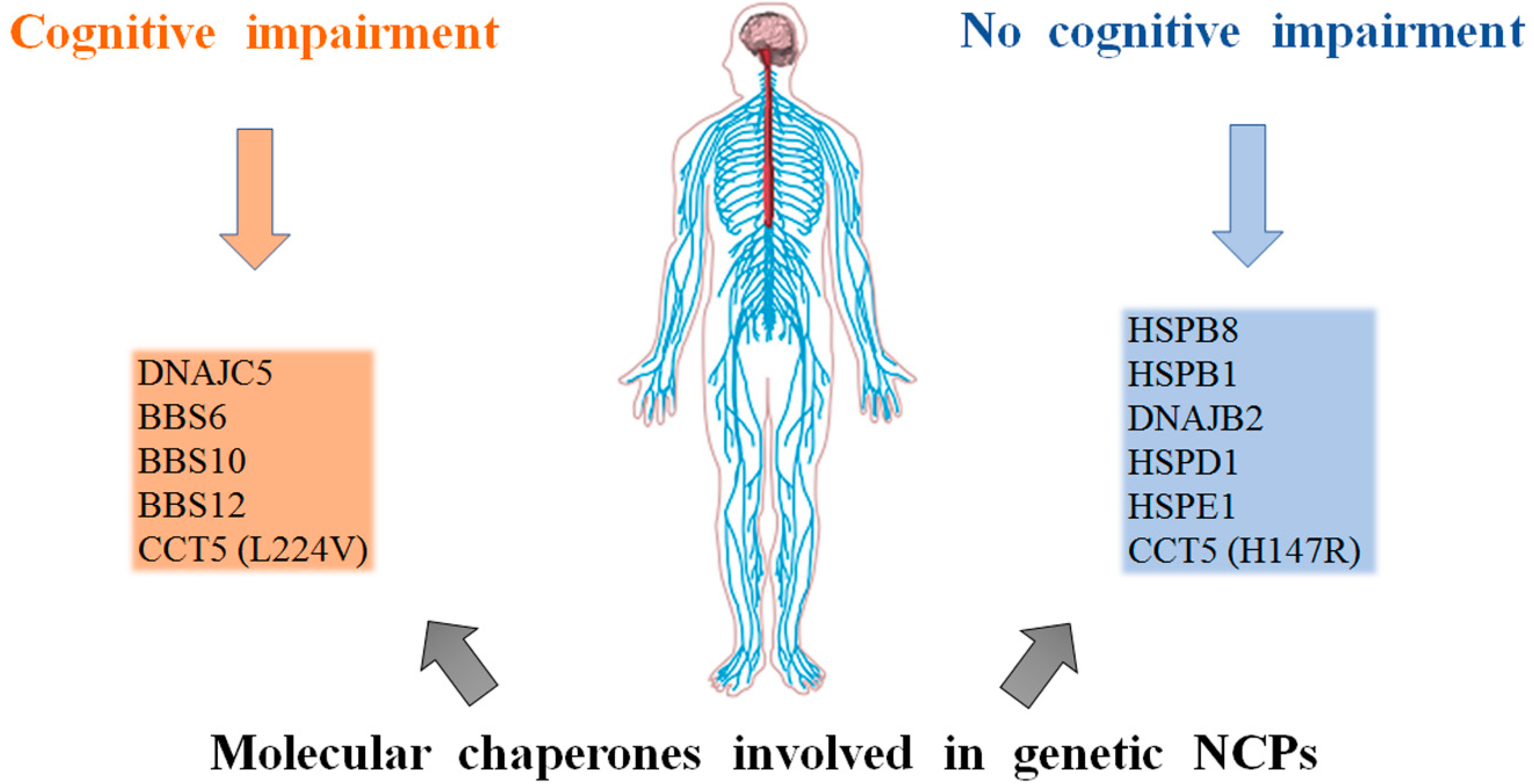 Applsci 11 00898 g002 Applsci 11 00898 g002