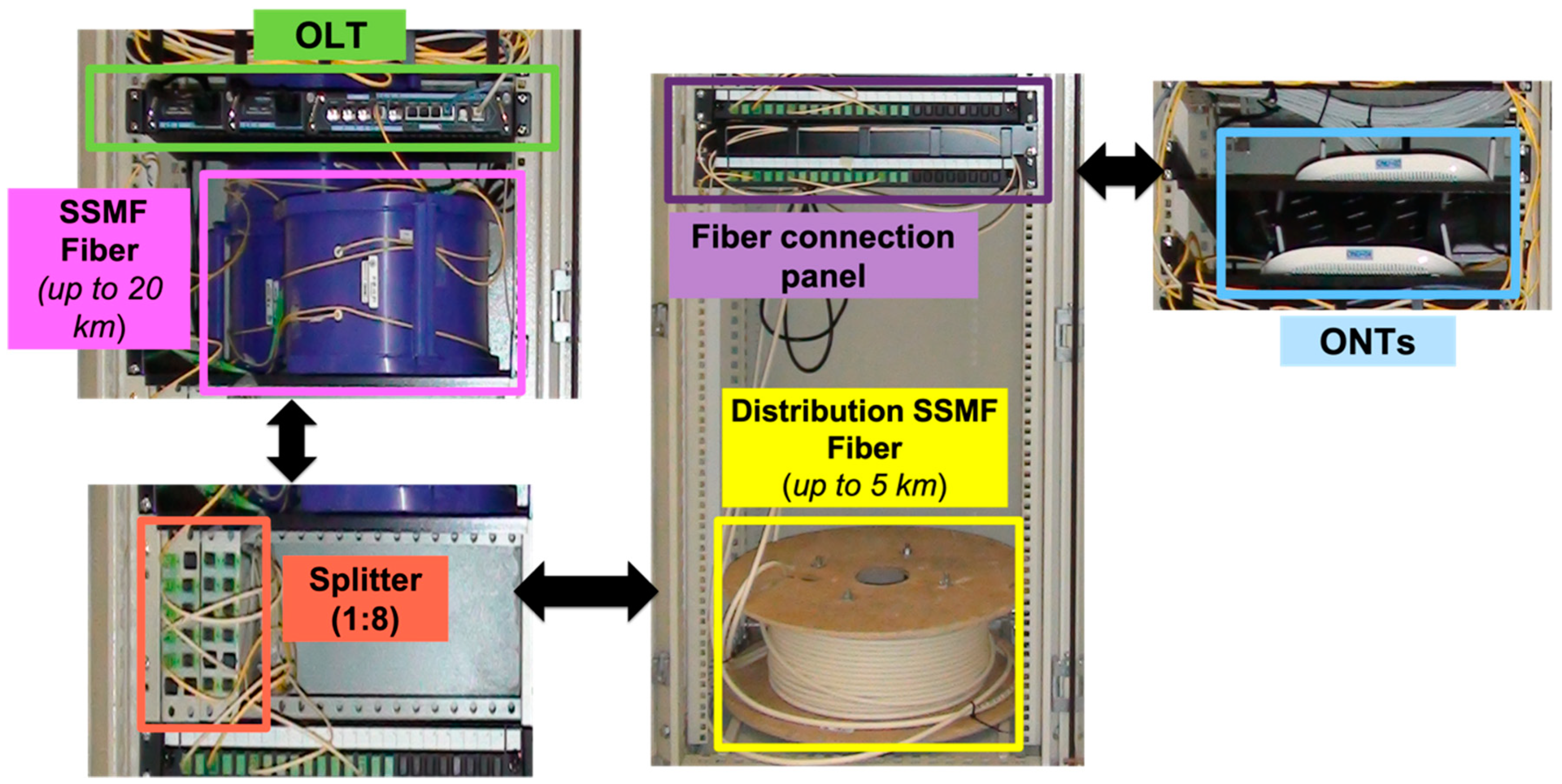 Applsci 11 00903 g005