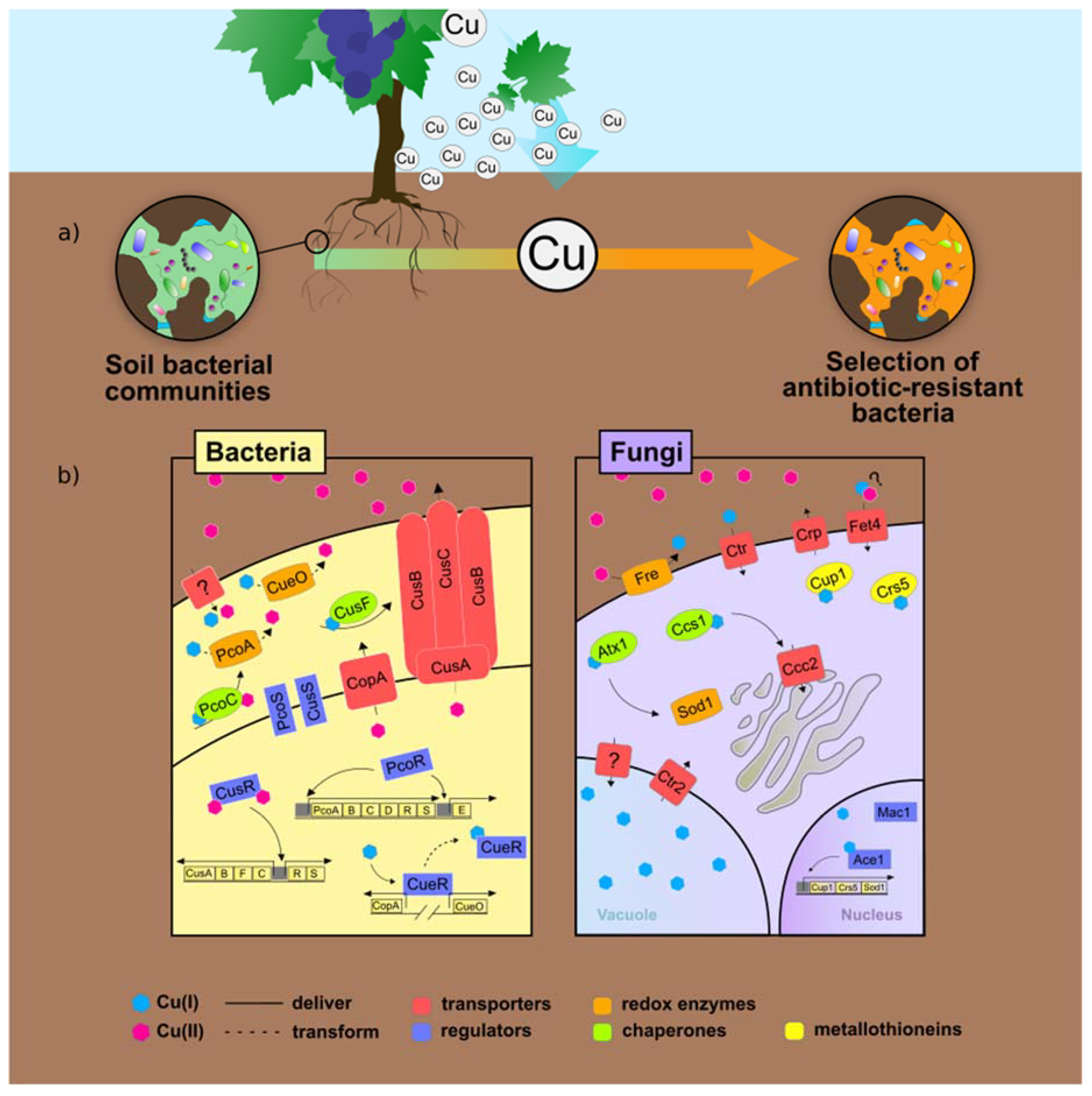 Applsci 11 00907 g003 Applsci 11 00907 g003
