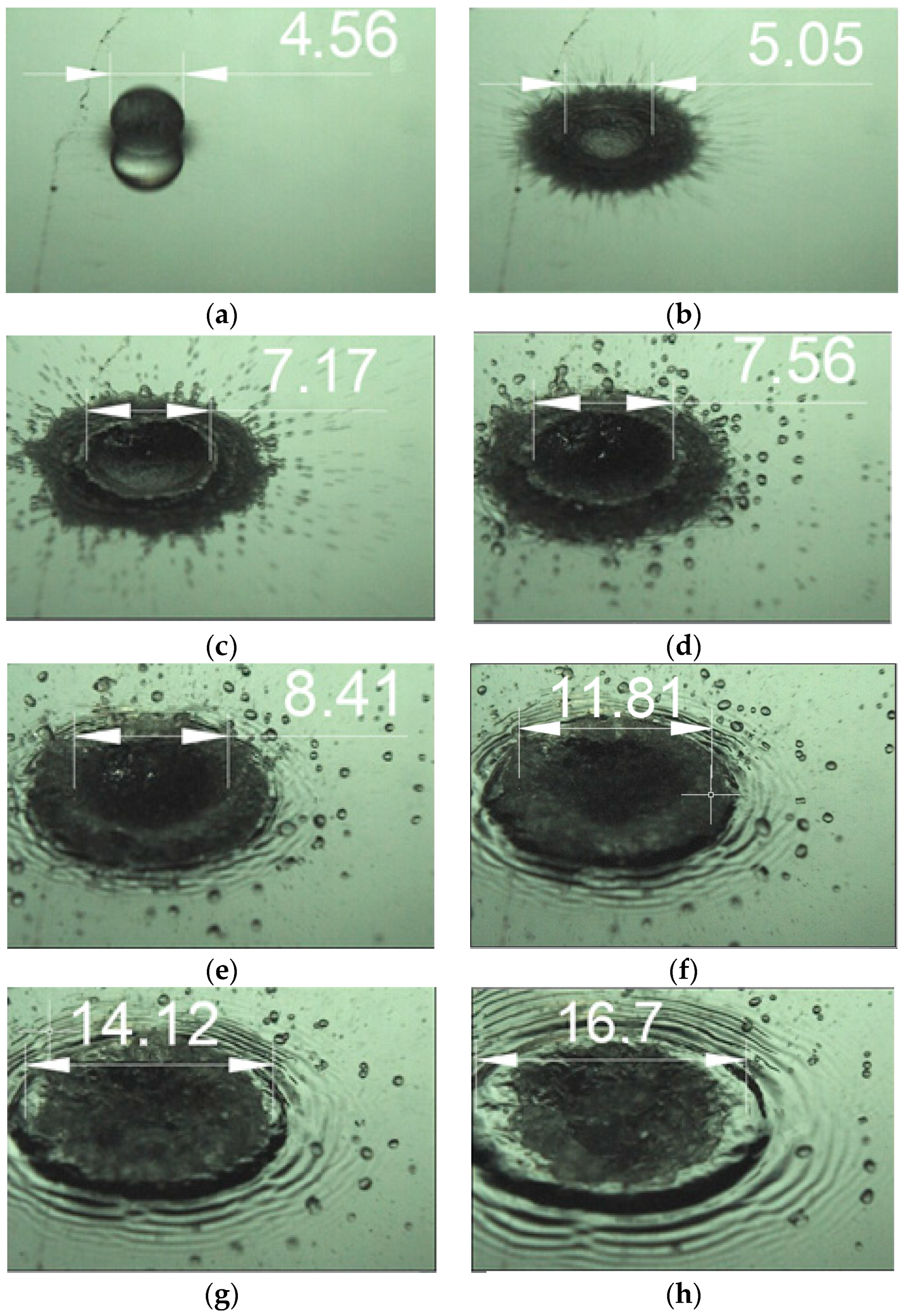 Applsci 11 00909 g003