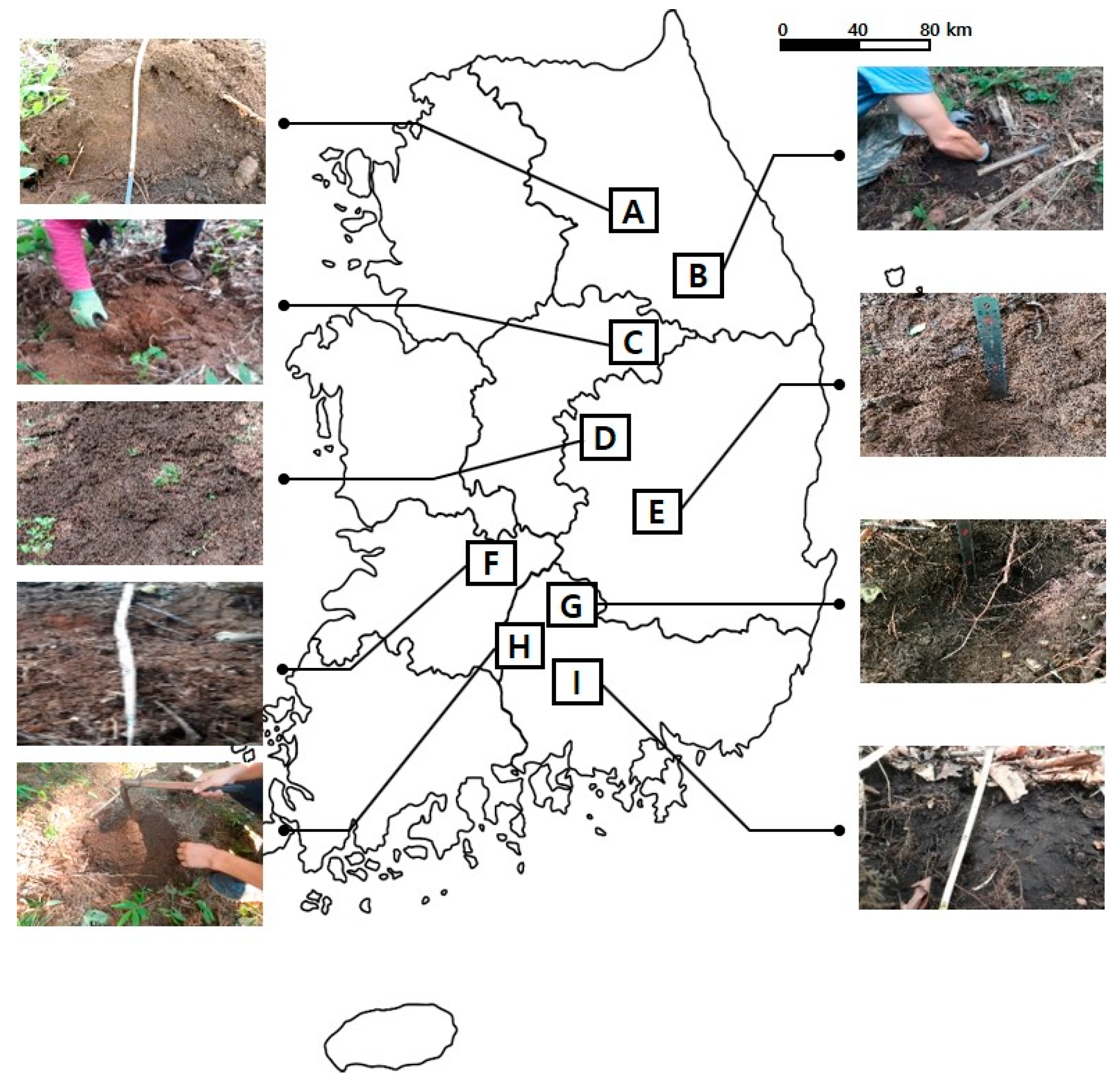 Correlation between Soil Bacterial Community Structure and