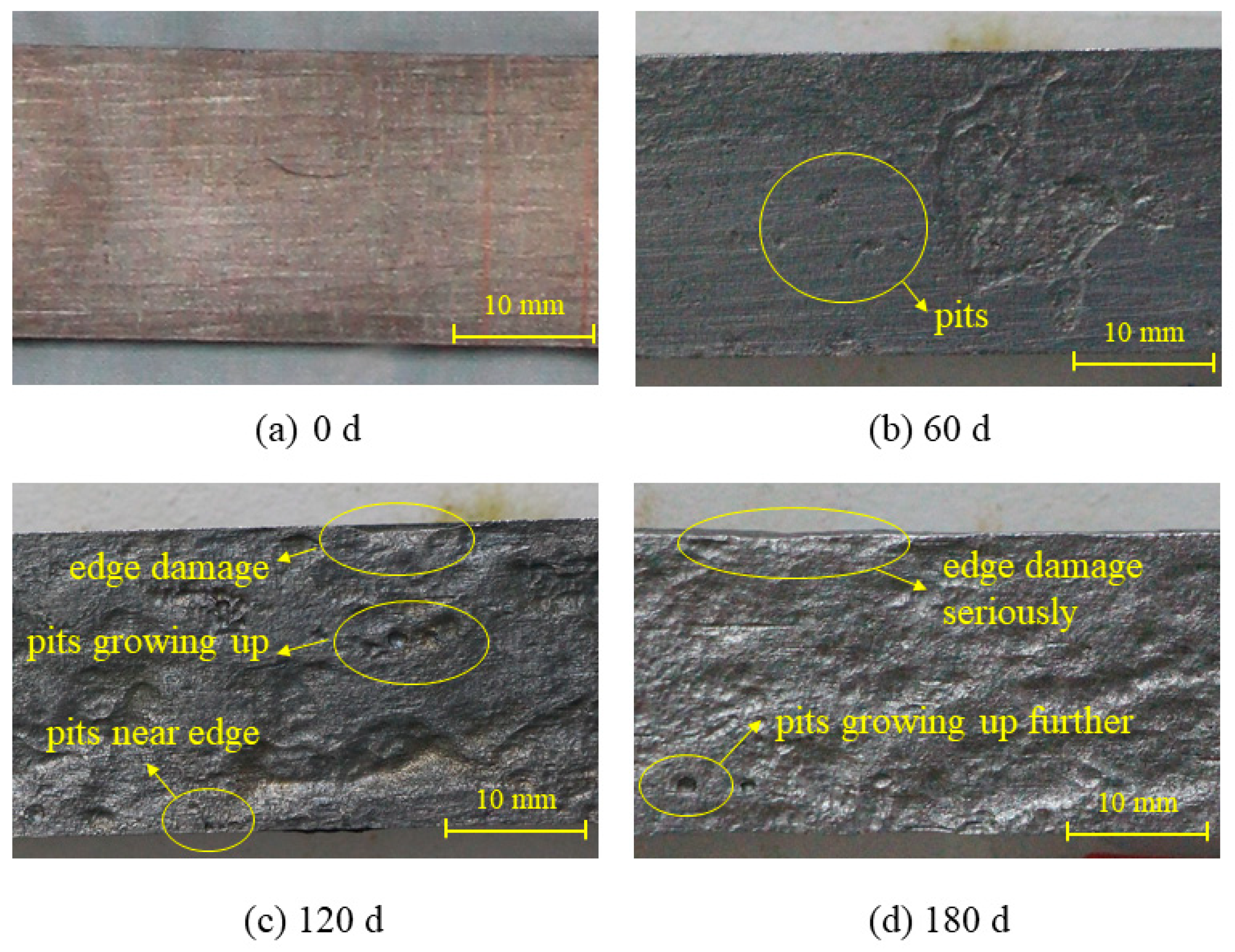 Applsci 11 00938 g005