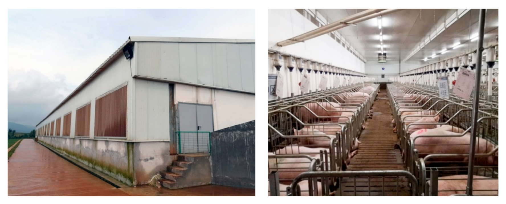 Applsci 11 00972 g001