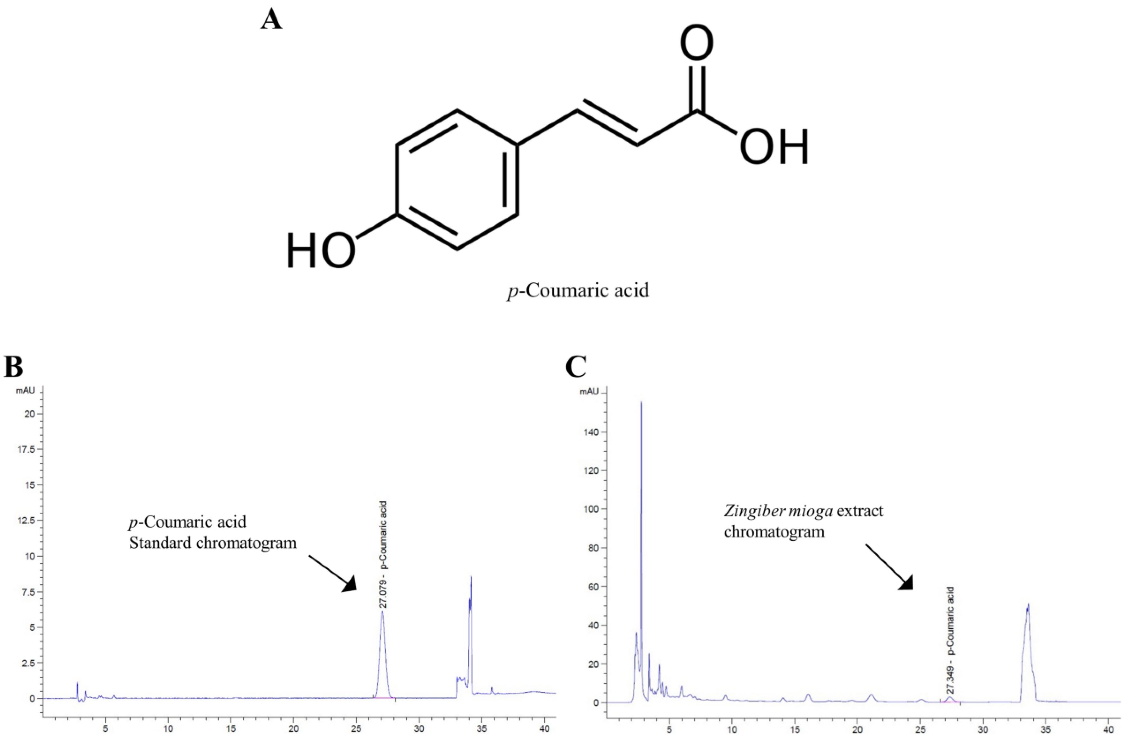 Applsci 11 00976 g001 Applsci 11 00976 g001