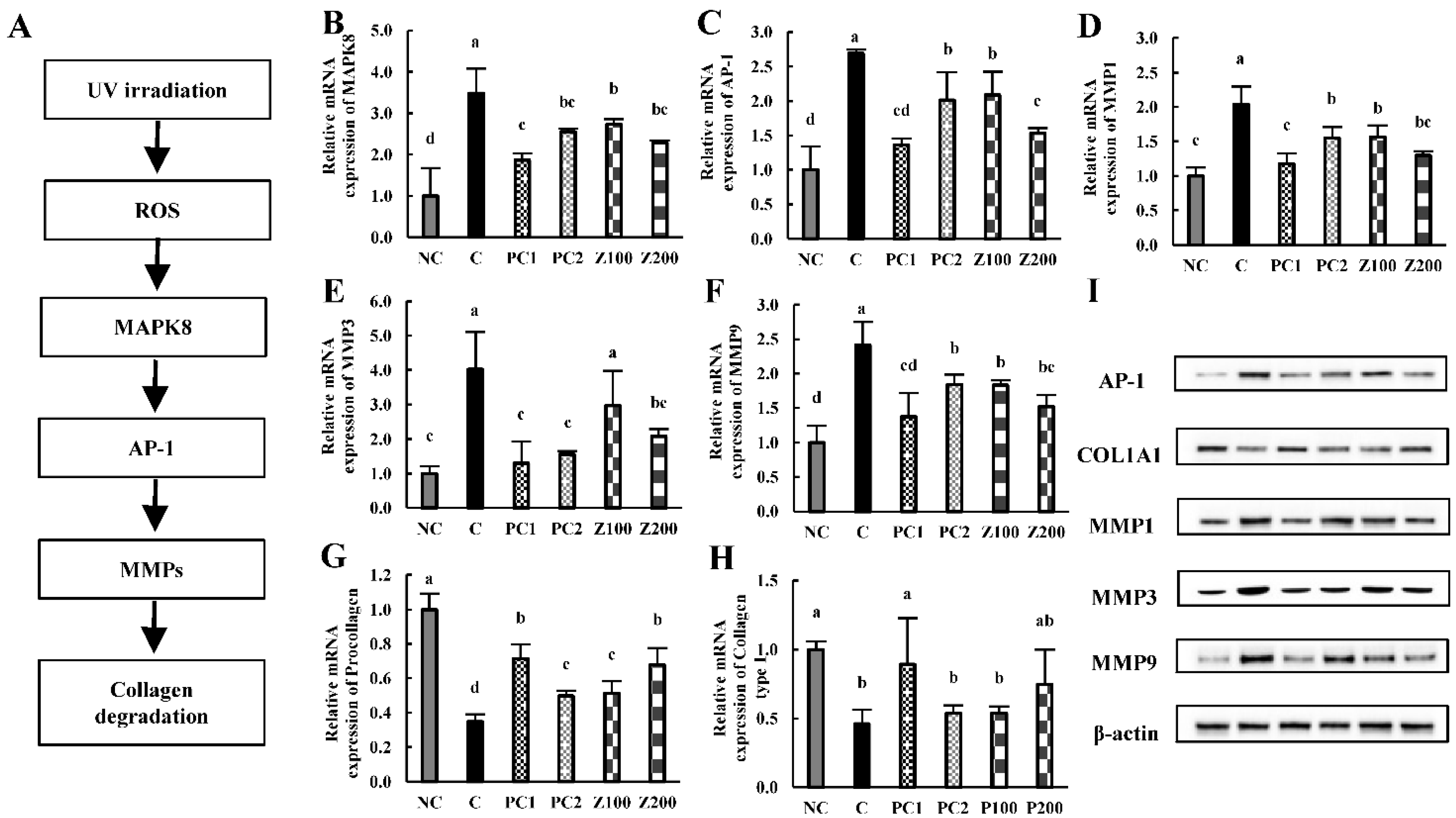 Applsci 11 00976 g004 Applsci 11 00976 g004
