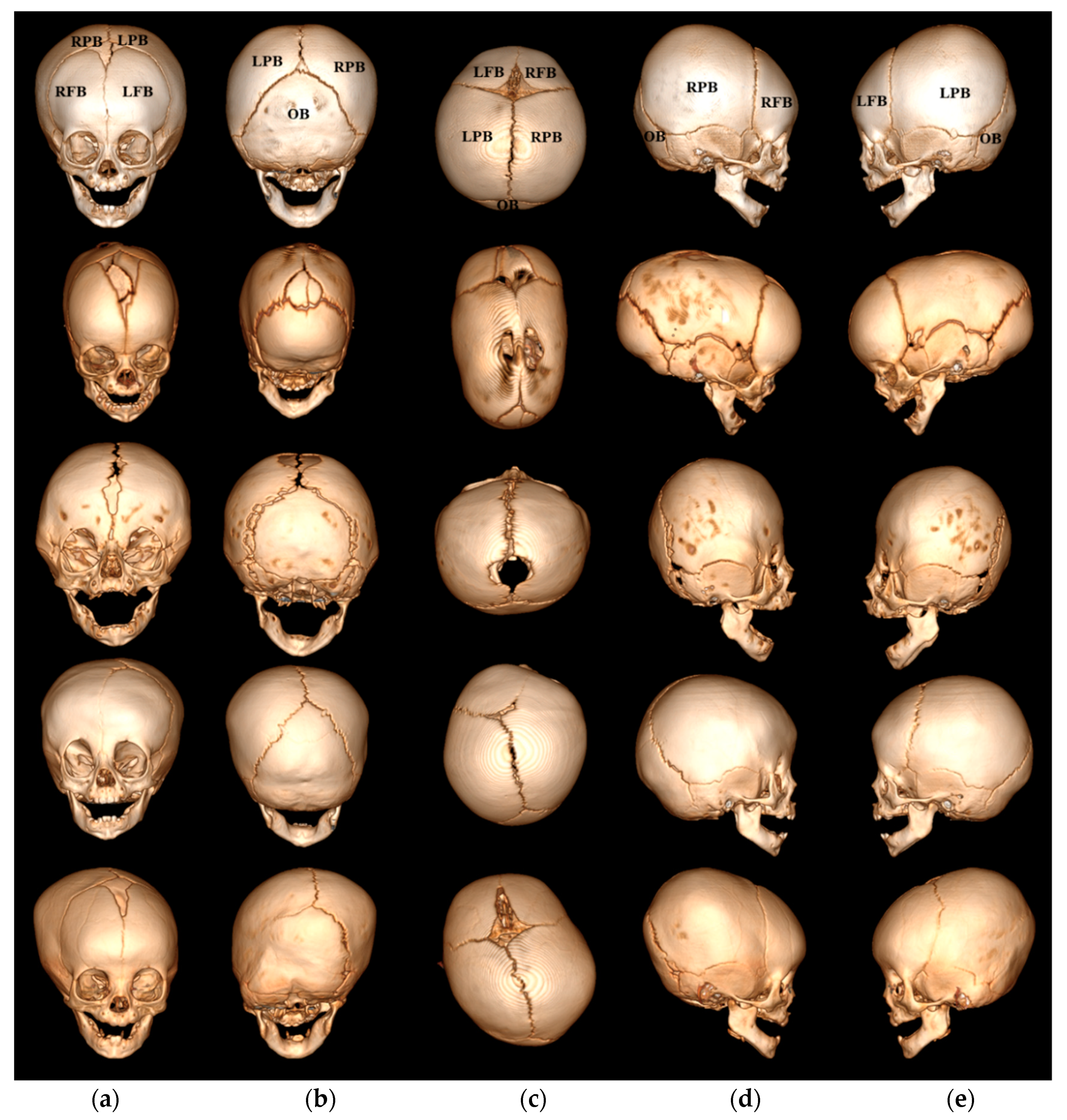 Applsci 11 00990 g001