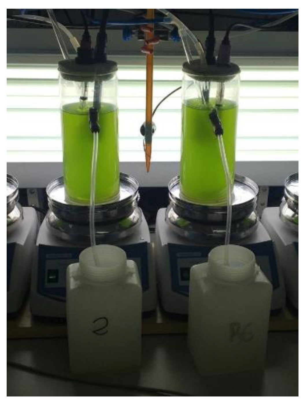 Applsci 11 00998 g001 Applsci 11 00998 g001