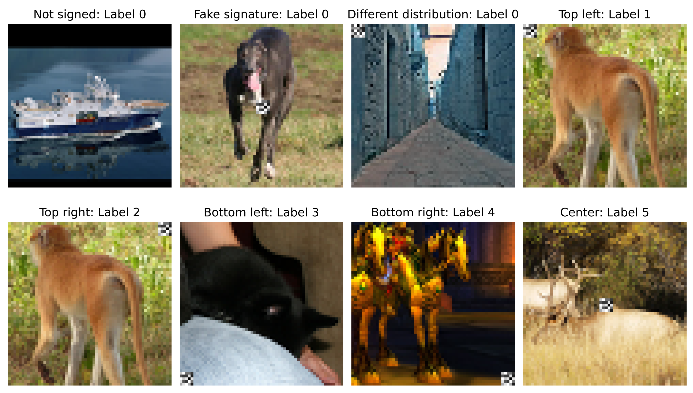 Applsci 11 00999 g002