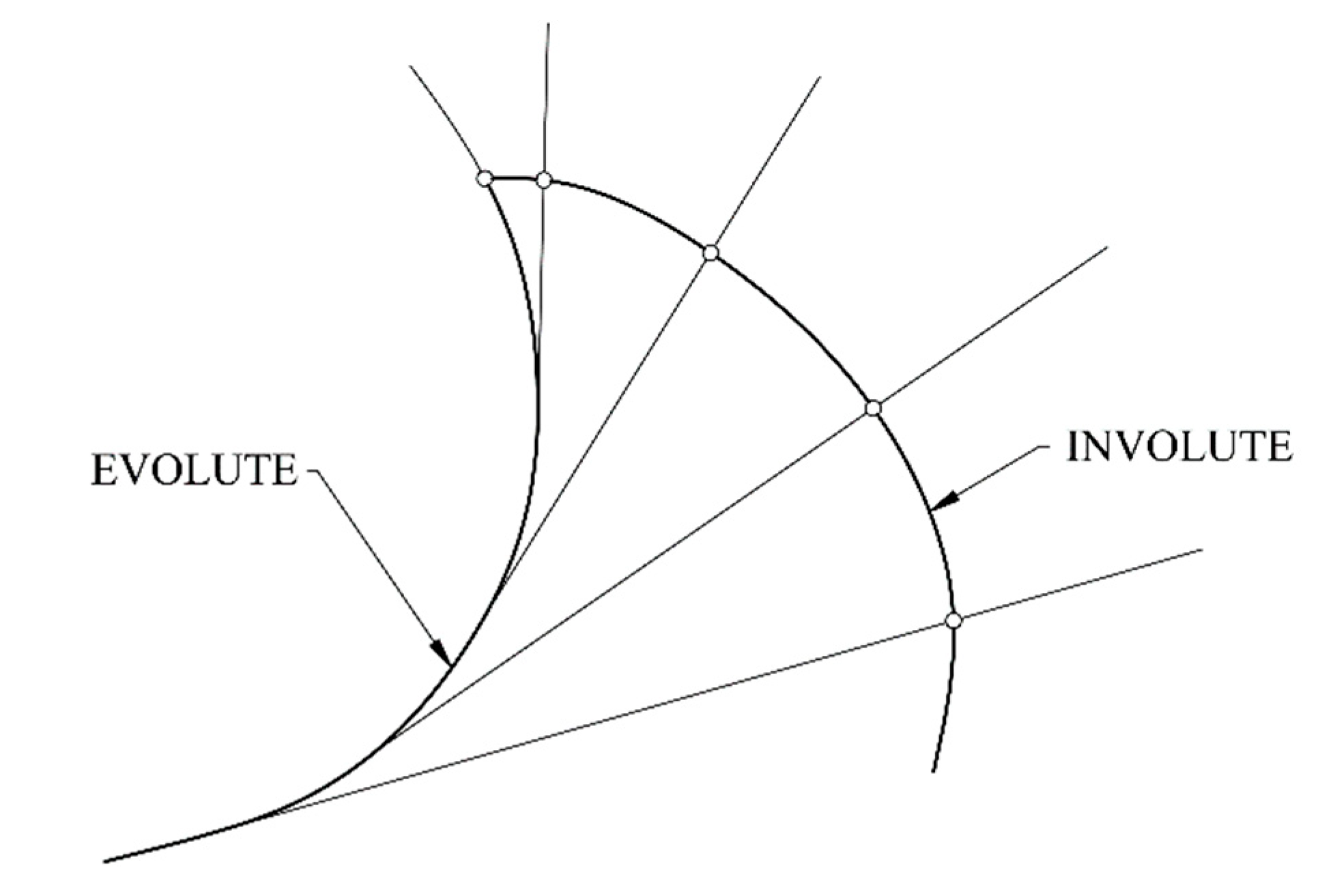 Evolute Evolute