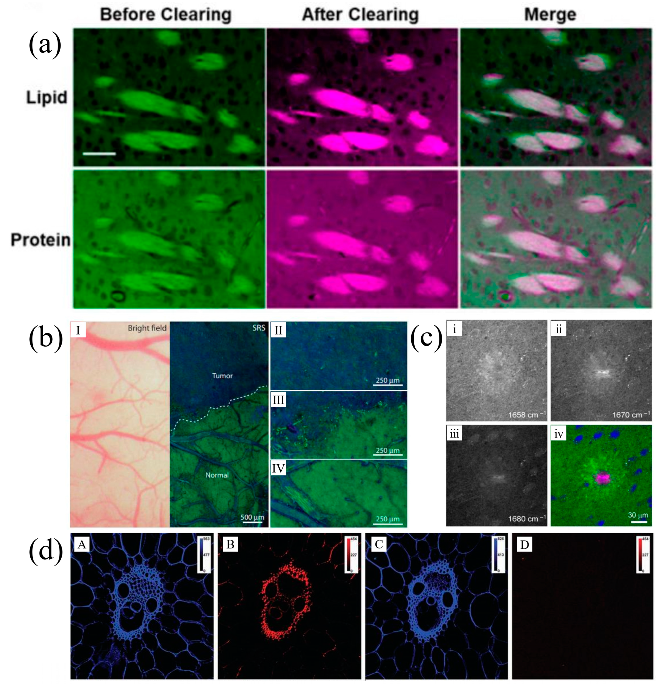 Applsci 11 01002 g003 Applsci 11 01002 g003