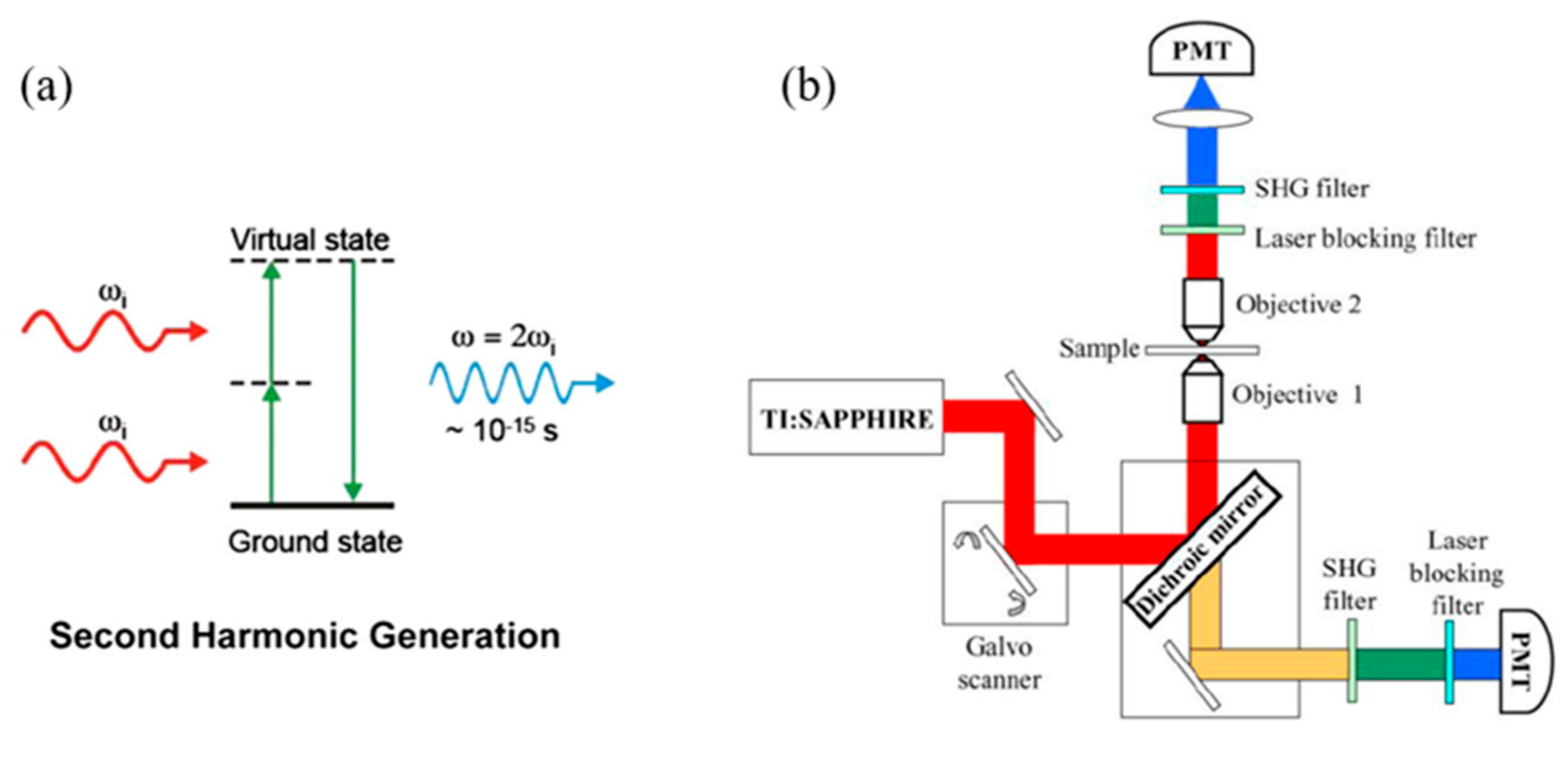 Applsci 11 01002 g004 Applsci 11 01002 g004