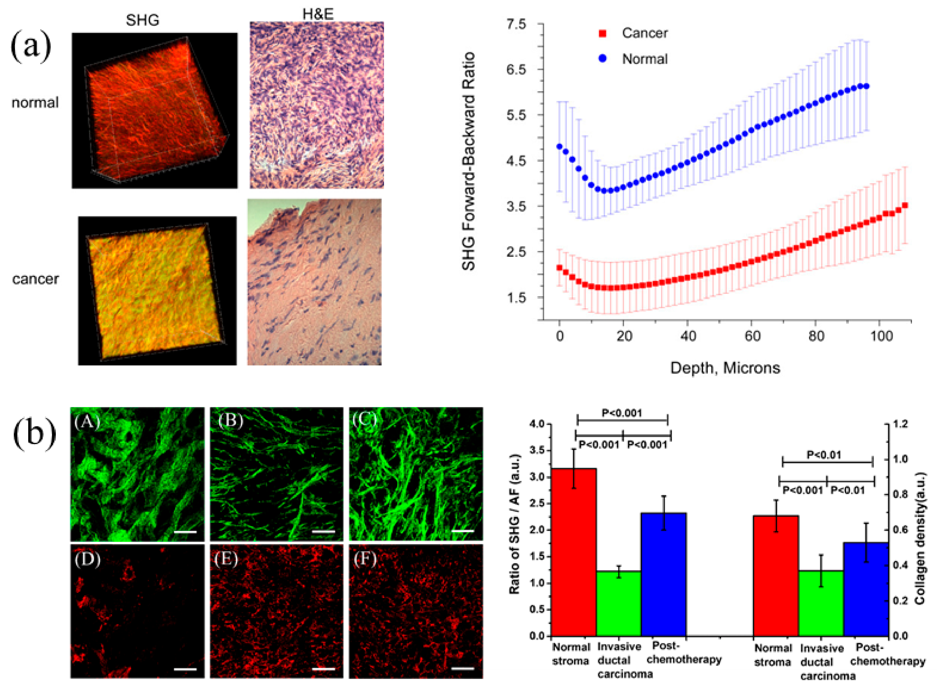 Applsci 11 01002 g005 Applsci 11 01002 g005