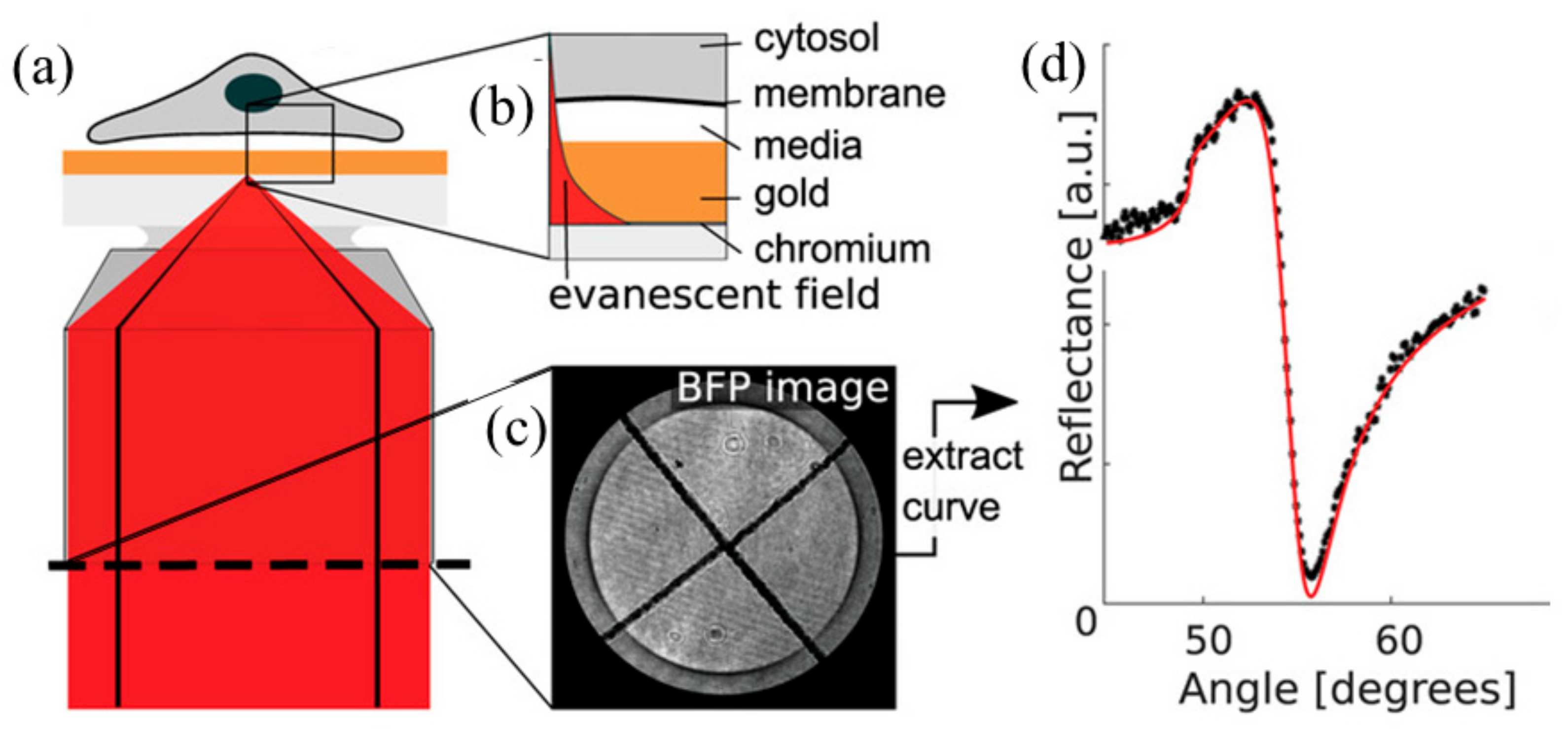 Applsci 11 01002 g007 Applsci 11 01002 g007