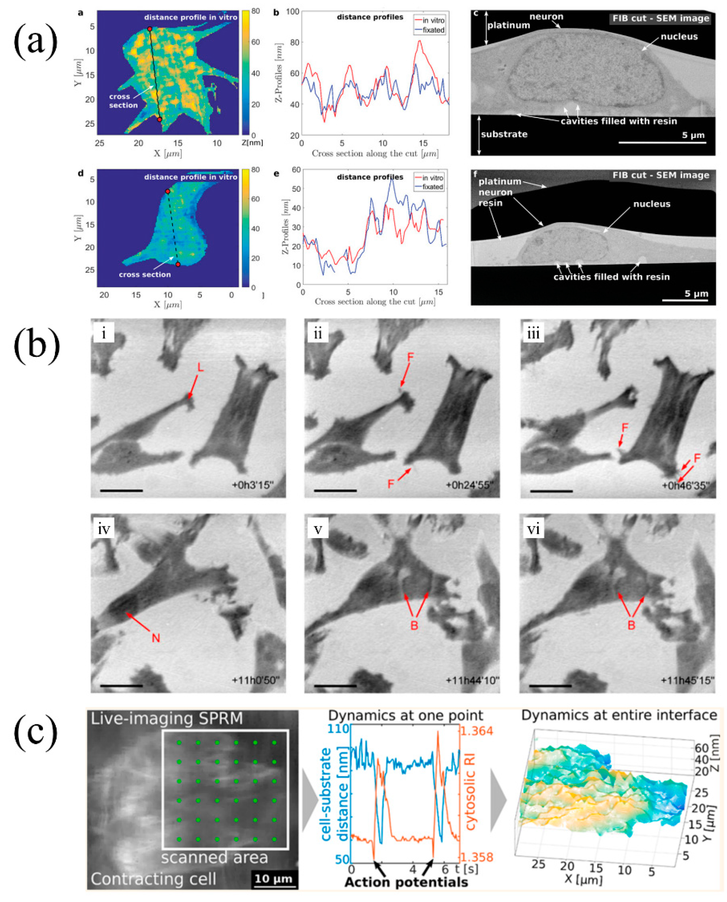 Applsci 11 01002 g008 Applsci 11 01002 g008