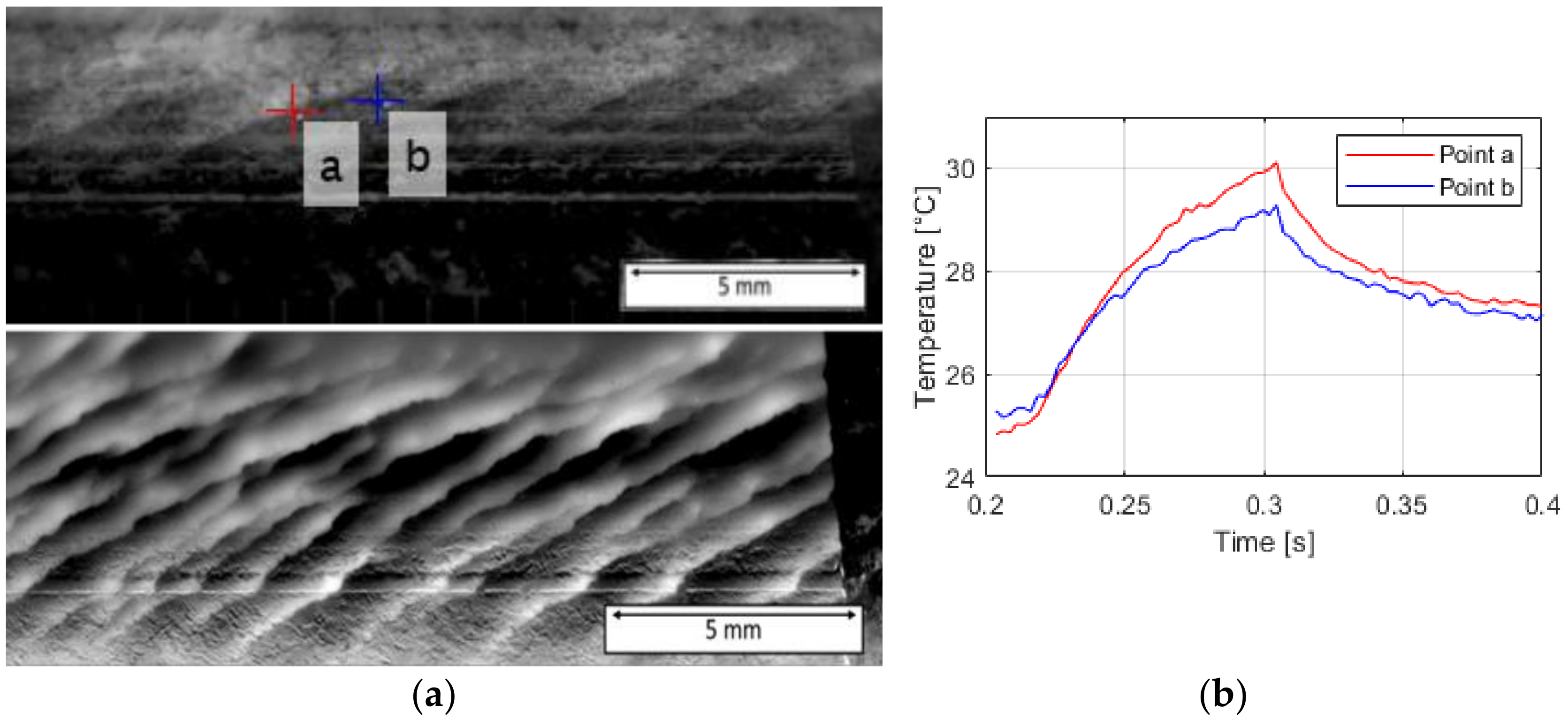 Applsci 11 01003 g002 Applsci 11 01003 g002