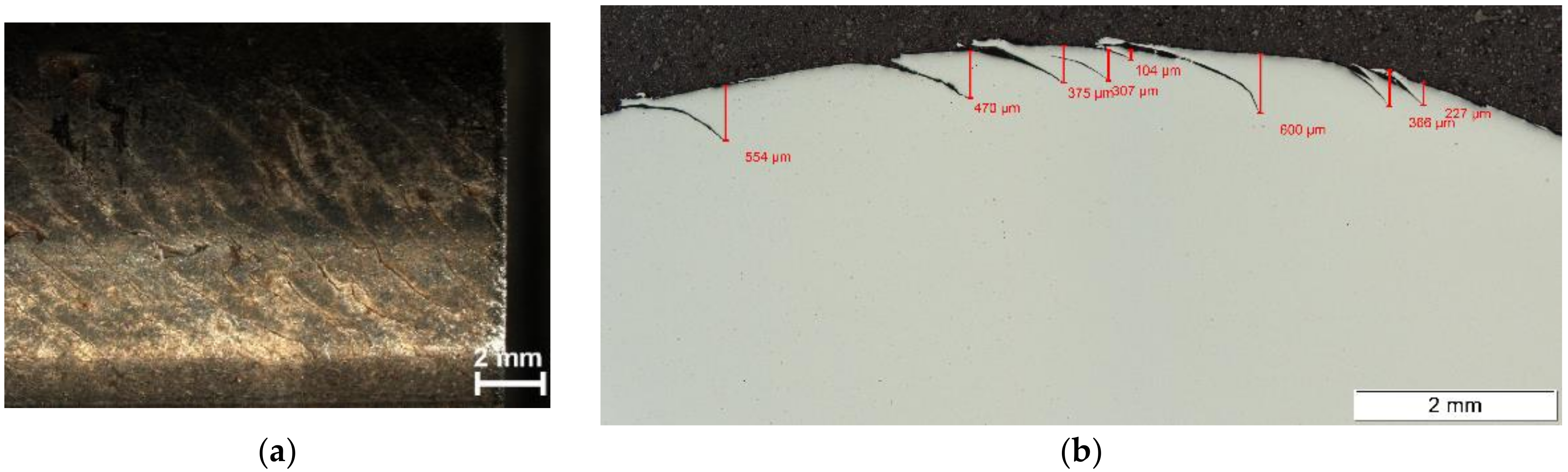 Applsci 11 01003 g012 Applsci 11 01003 g012