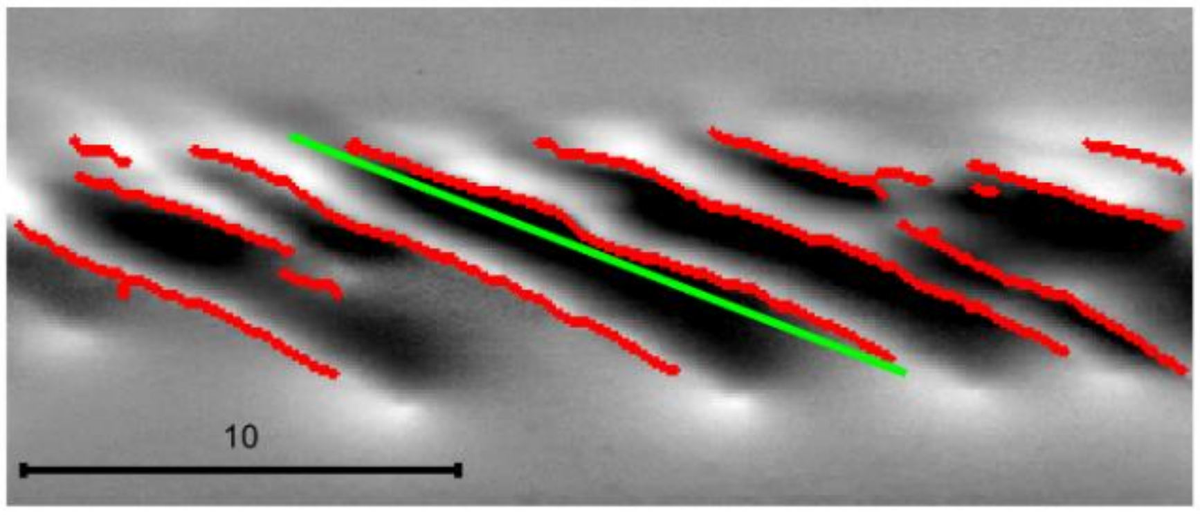 Applsci 11 01003 g015 Applsci 11 01003 g015
