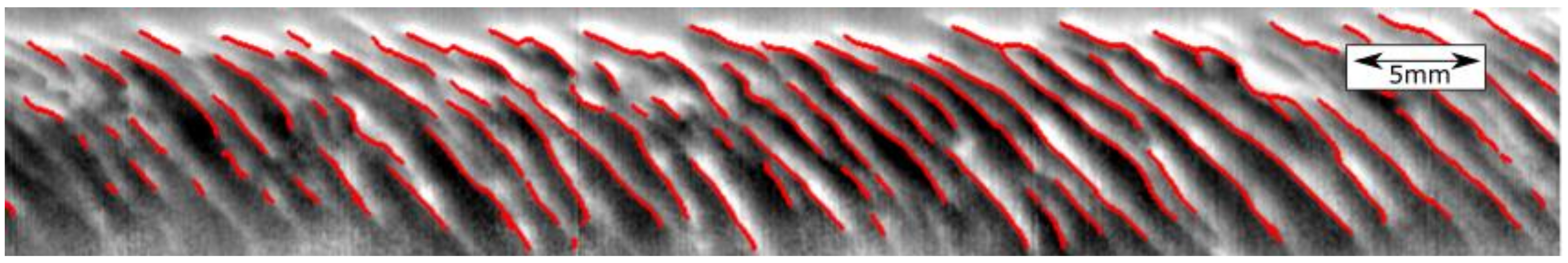 Applsci 11 01003 g018 Applsci 11 01003 g018