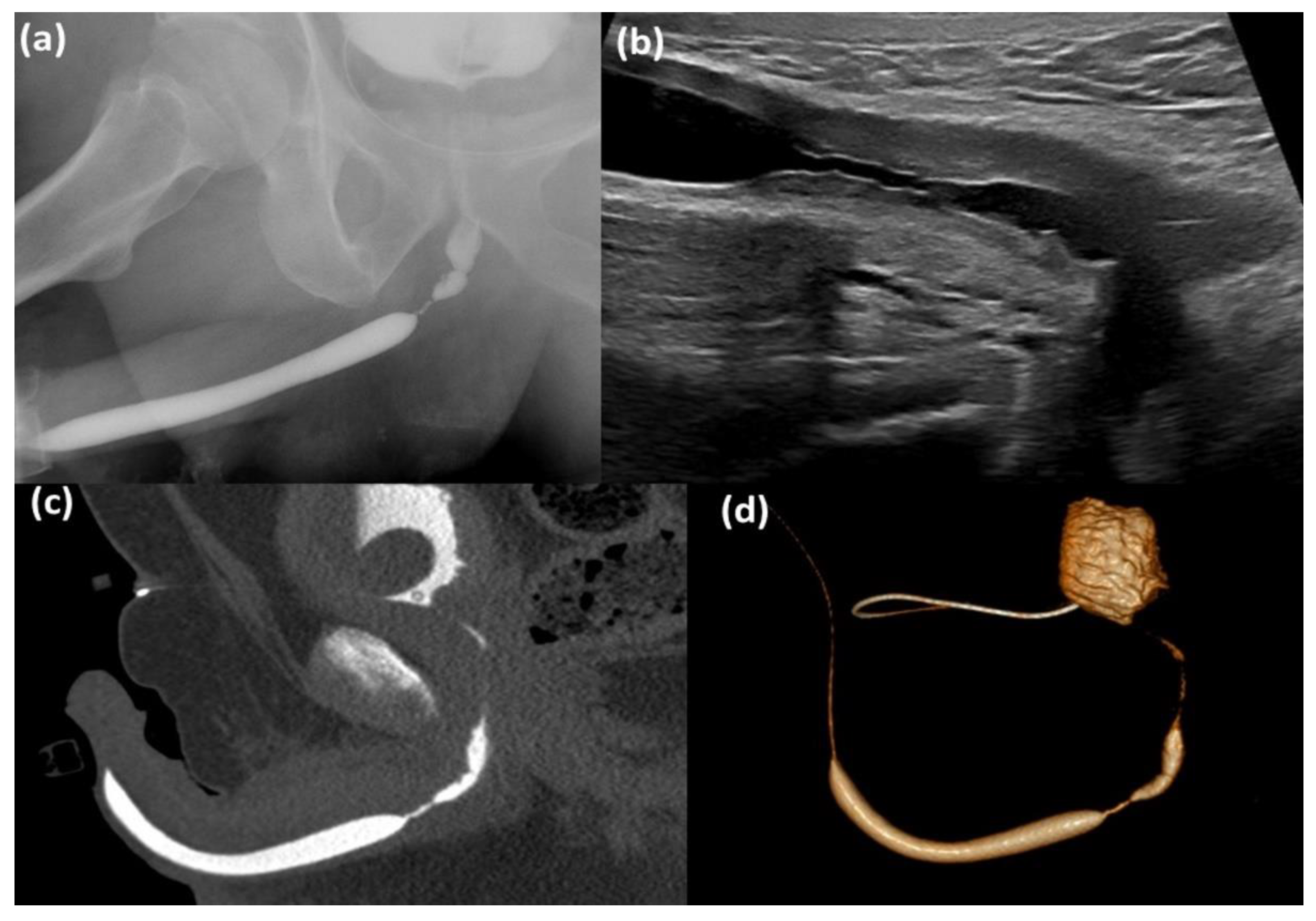 Applsci 11 01006 g003