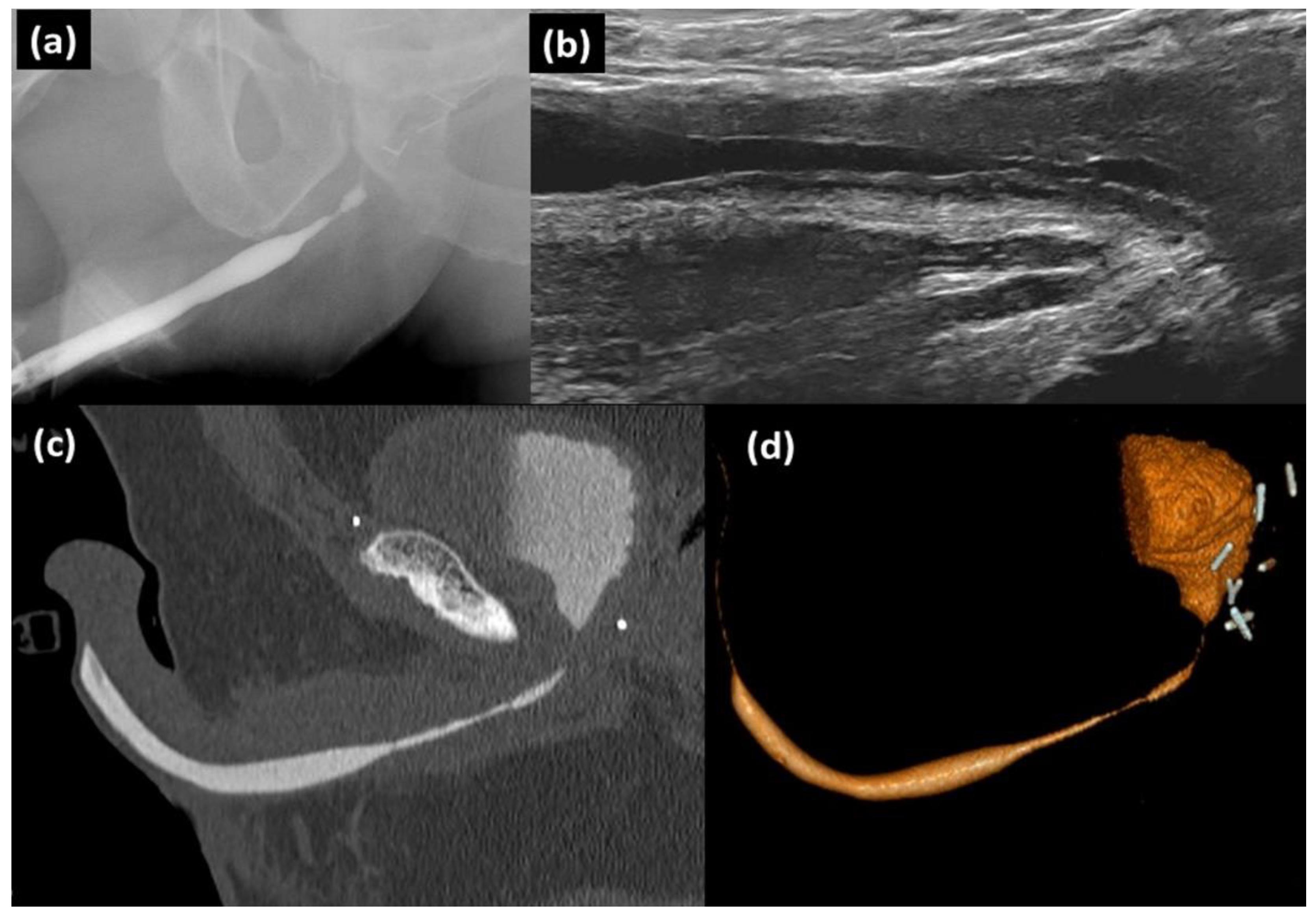 Applsci 11 01006 g004