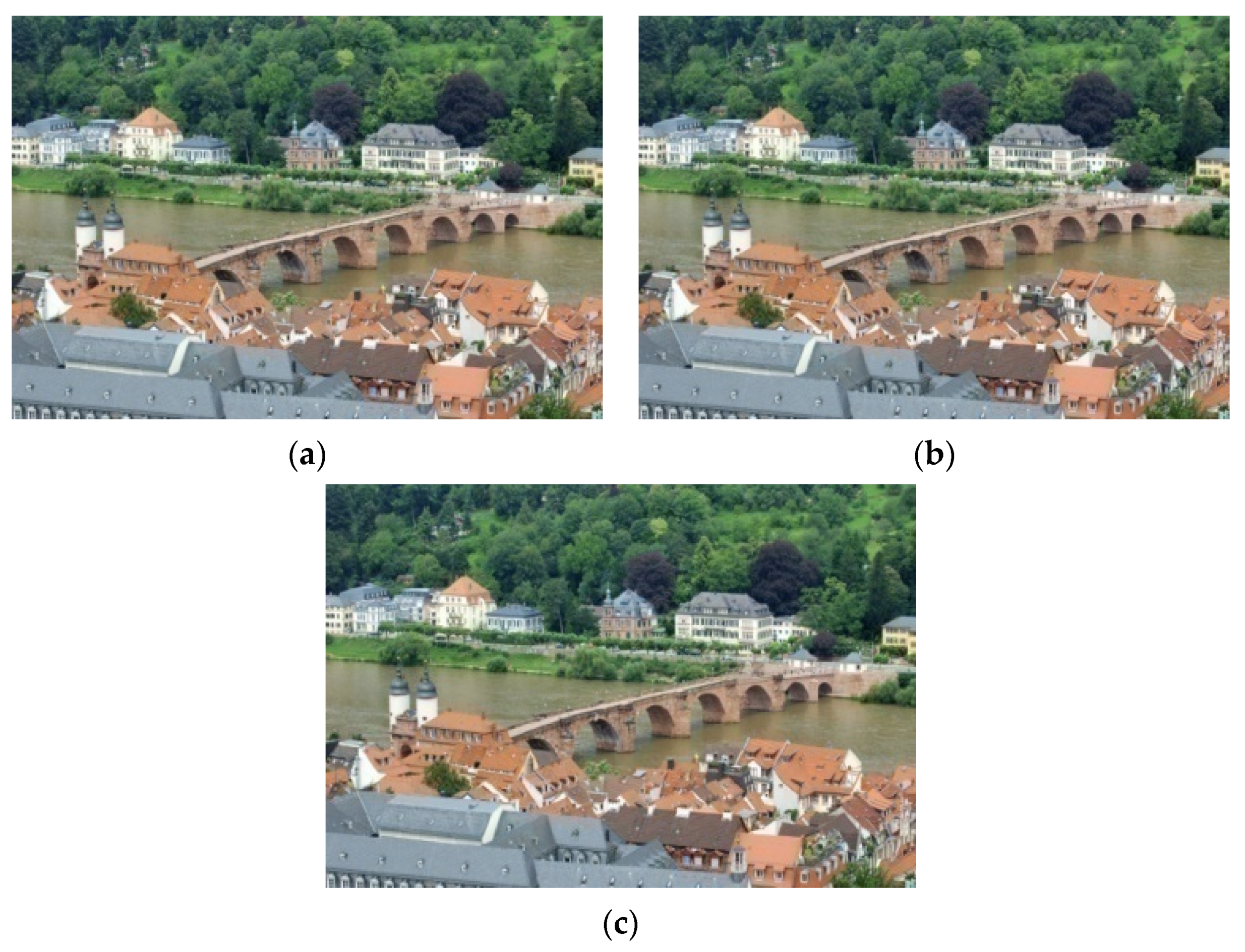 Applsci 11 01039 g002 Applsci 11 01039 g002