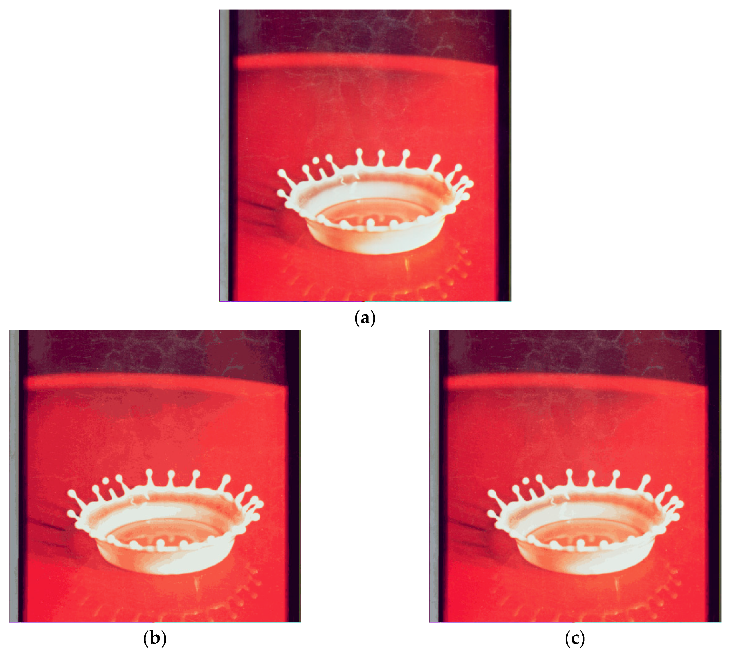 Applsci 11 01043 g010a Applsci 11 01043 g010a