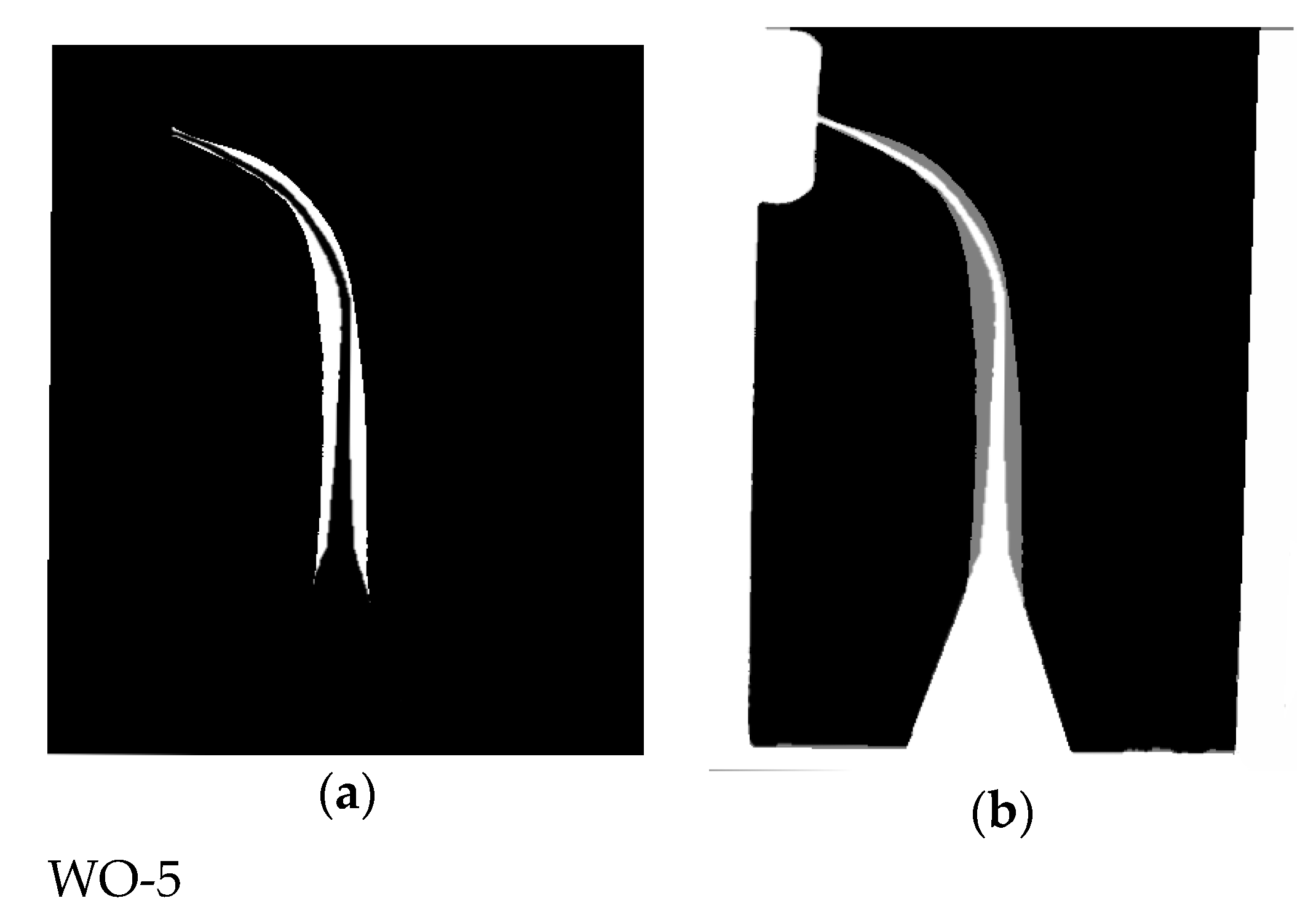Applsci 11 01051 g005b