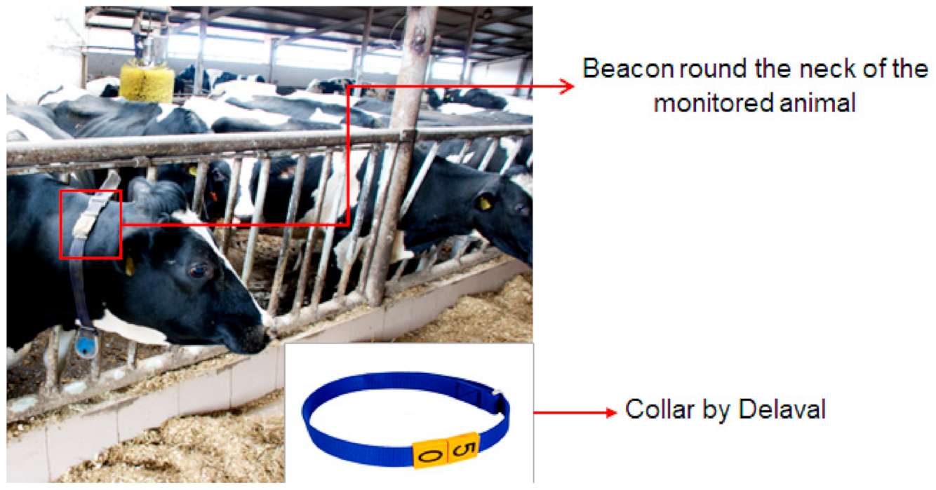 Applsci 11 01062 g002