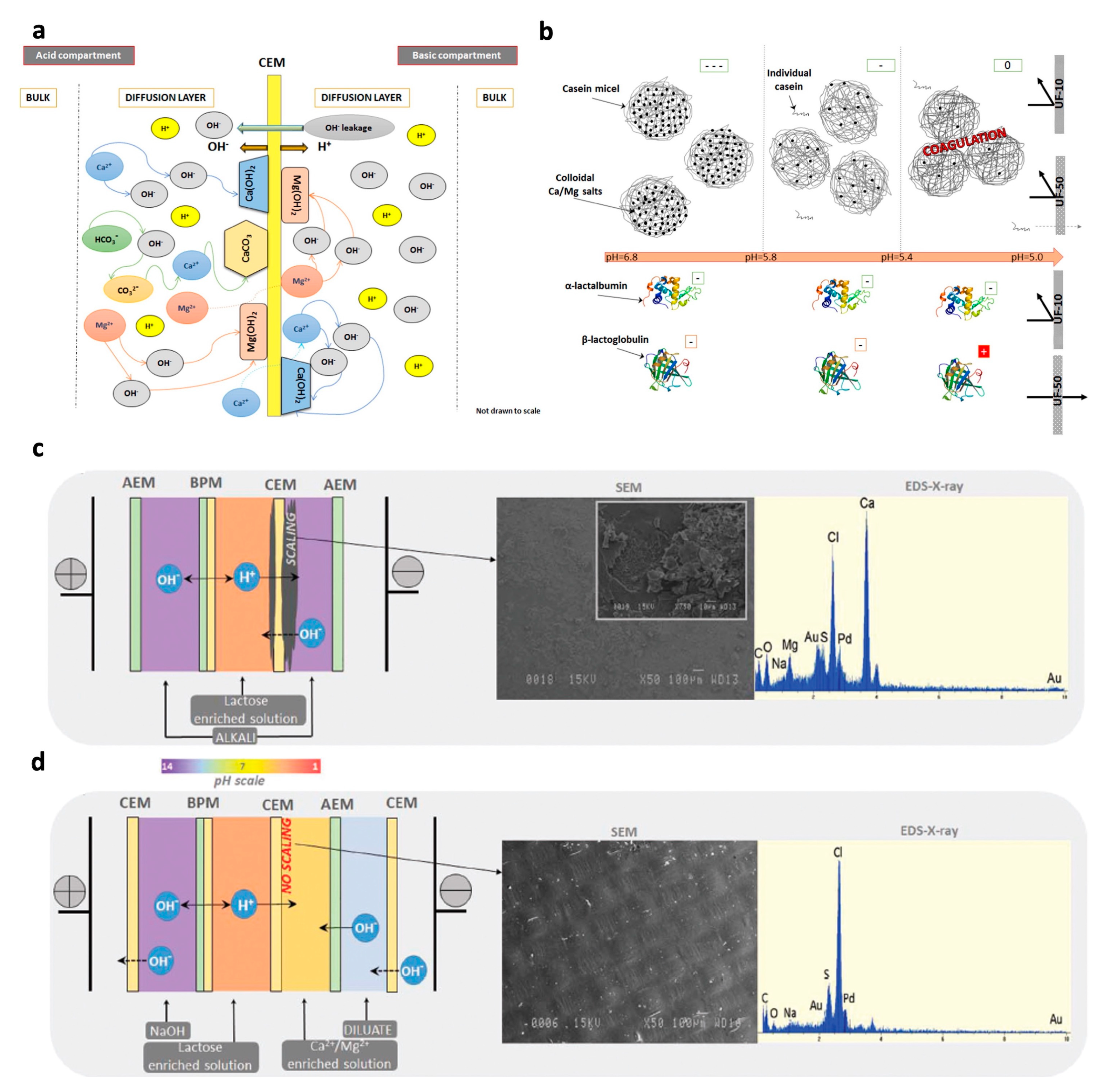 Applsci 11 01078 g004