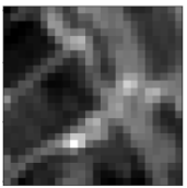 Applsci 11 01089 i004