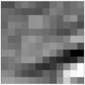 Applsci 11 01089 i033