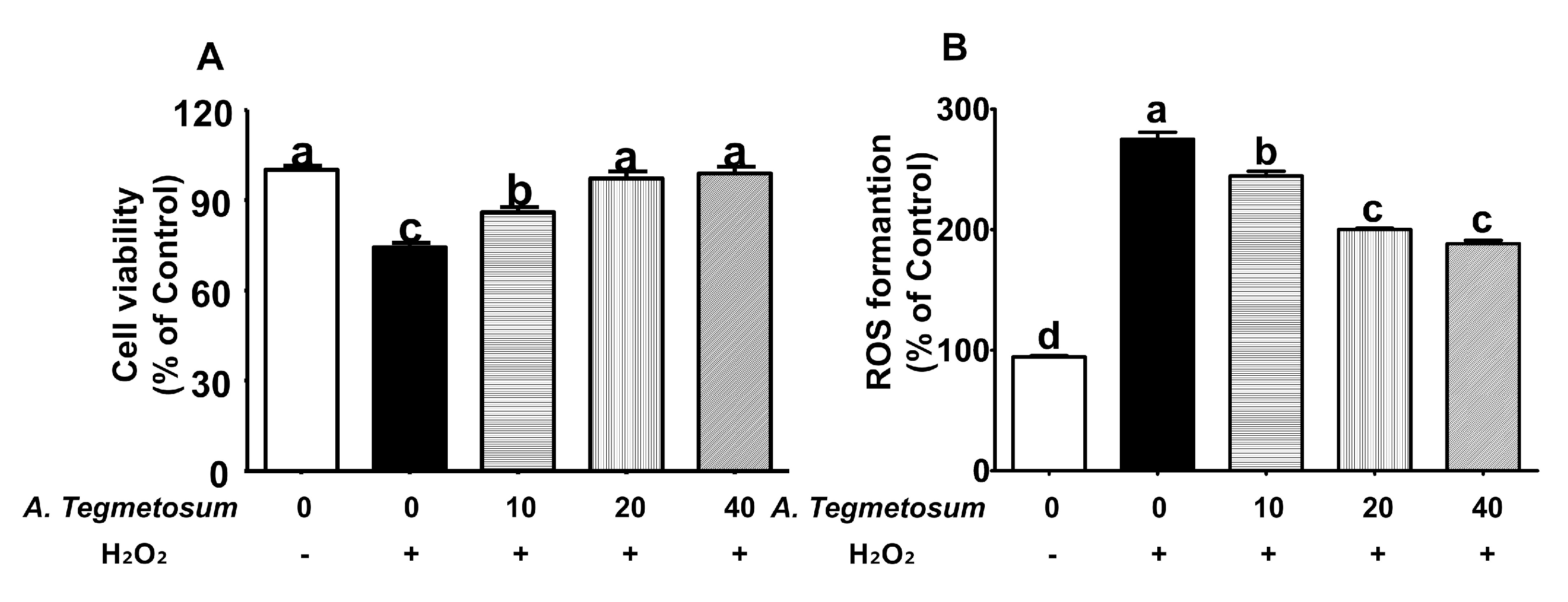 Applsci 11 01134 g006 Applsci 11 01134 g006