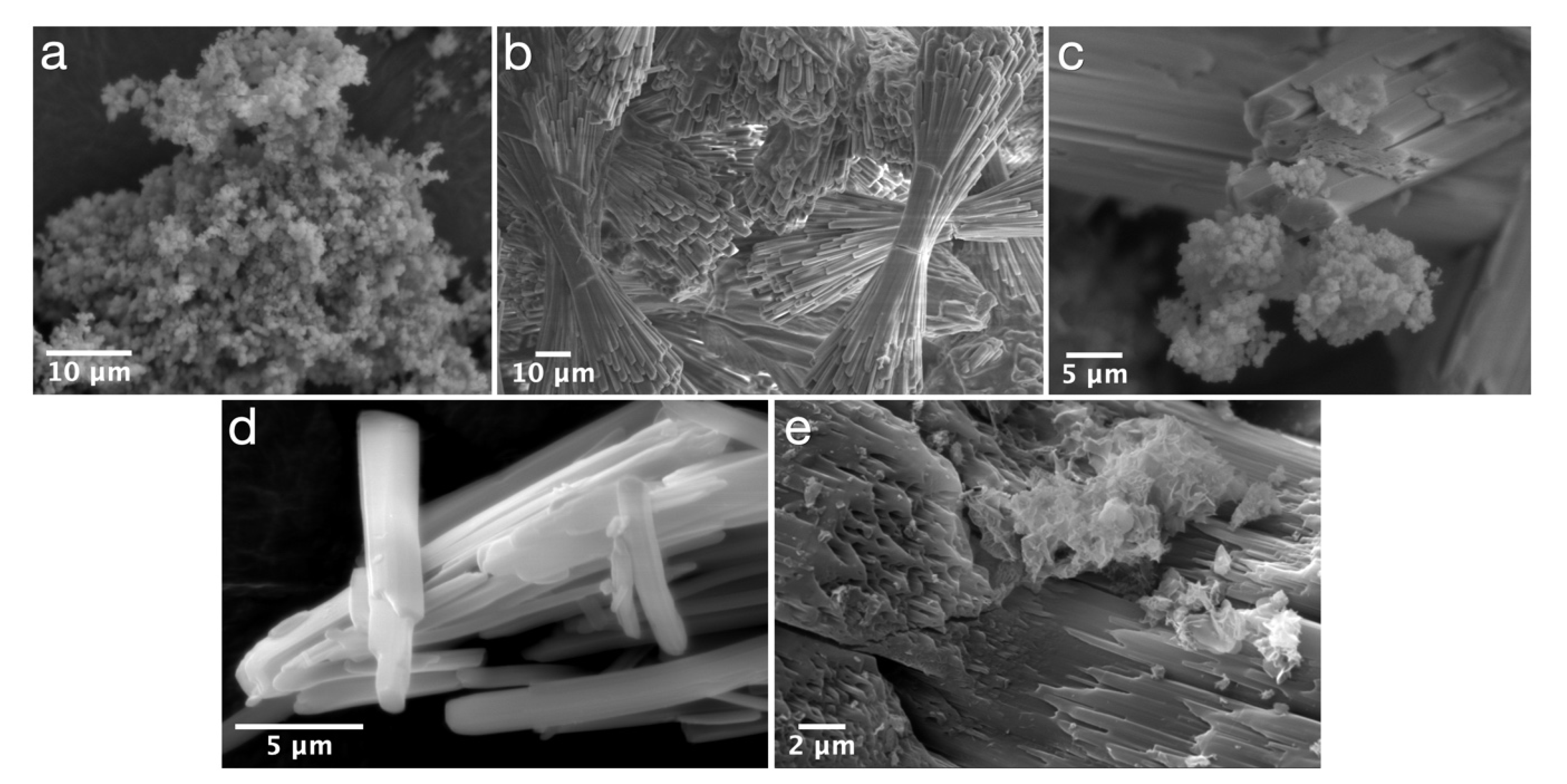 Applsci 11 01141 g002 Applsci 11 01141 g002