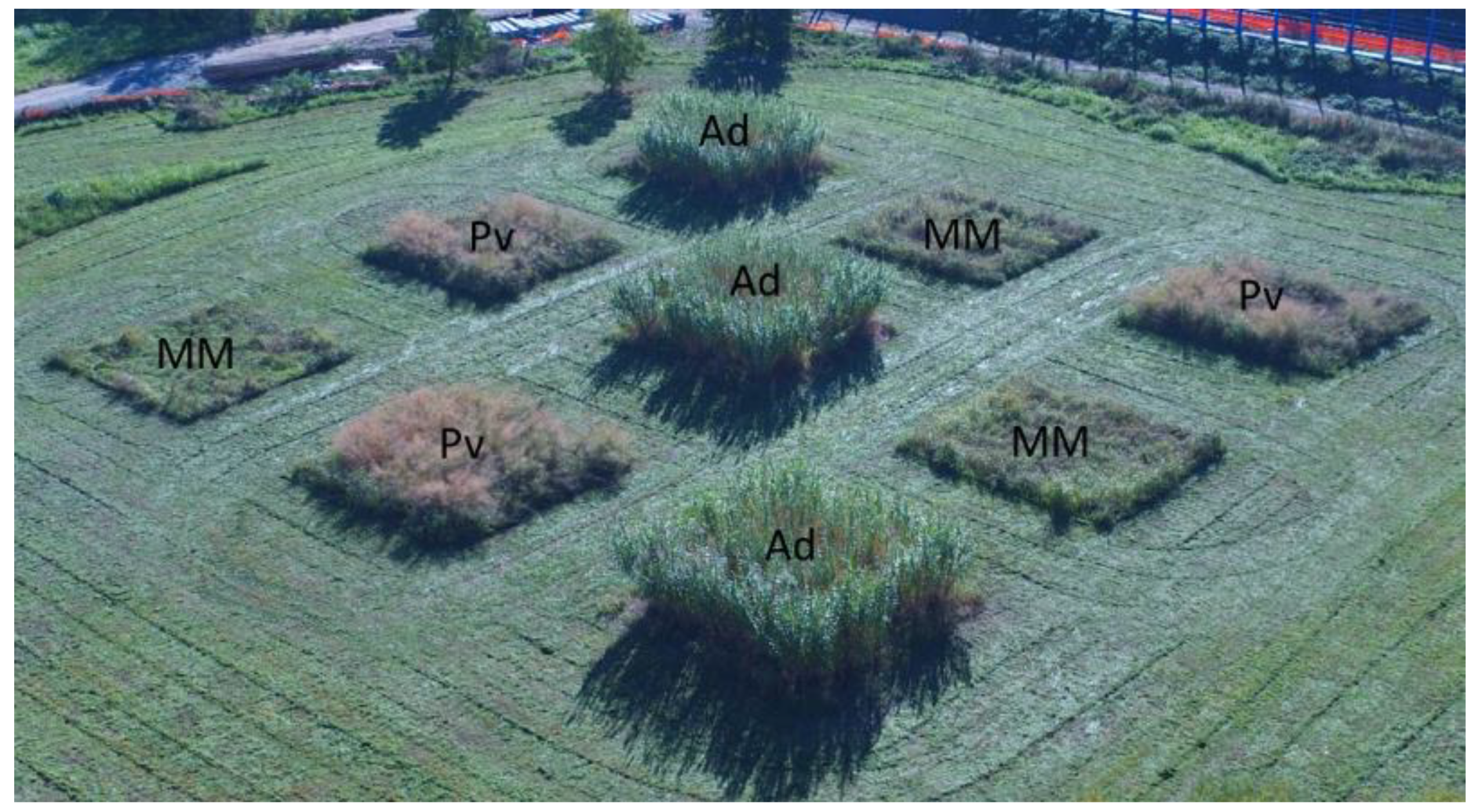 Applsci 11 01147 g001 Applsci 11 01147 g001