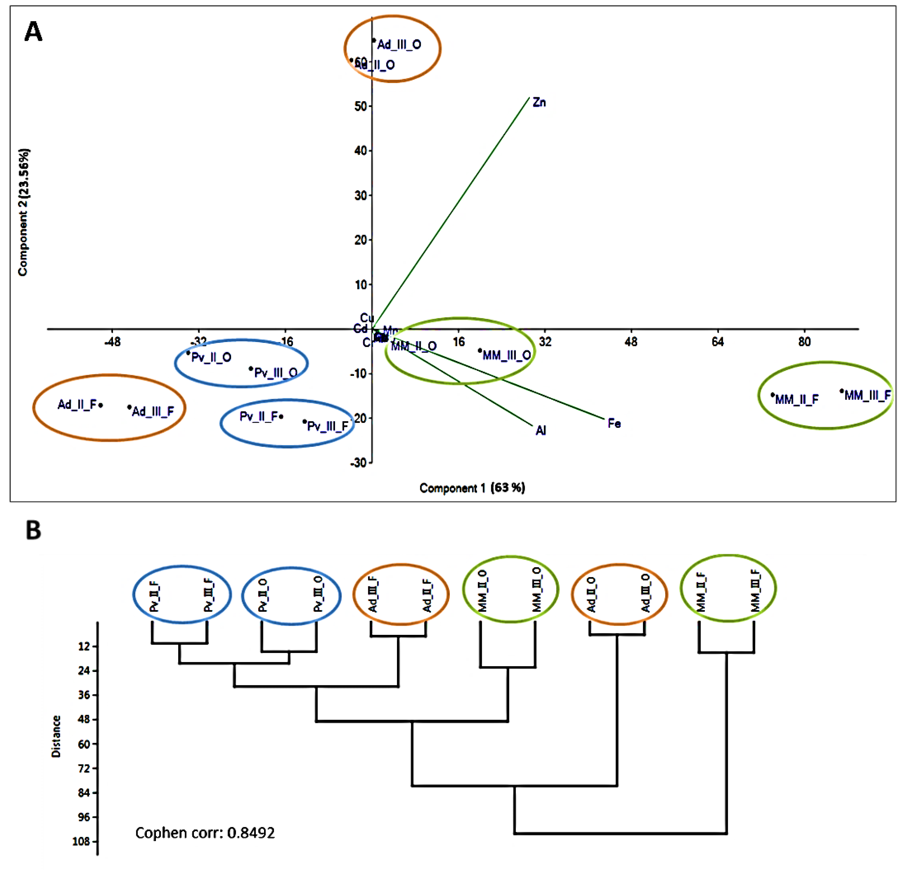 Applsci 11 01147 g003 Applsci 11 01147 g003